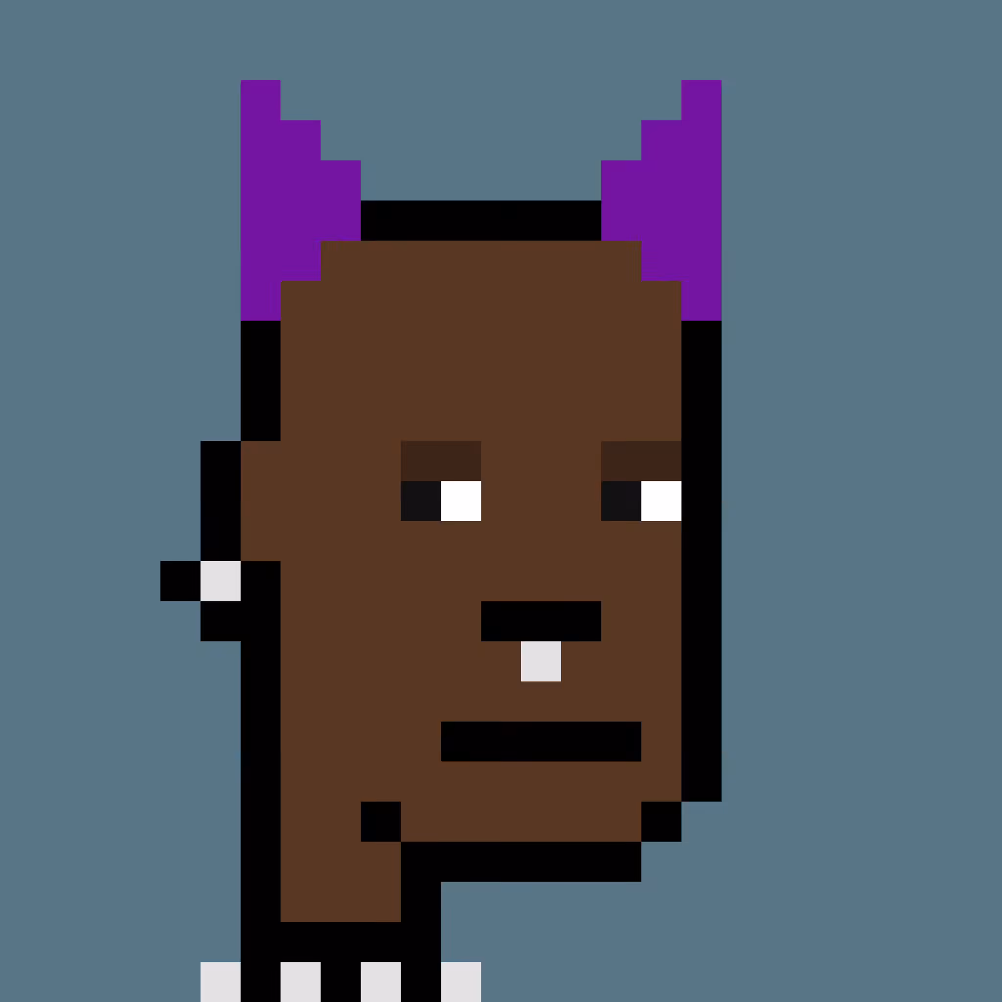 Tez Punks: Tez Punk #818