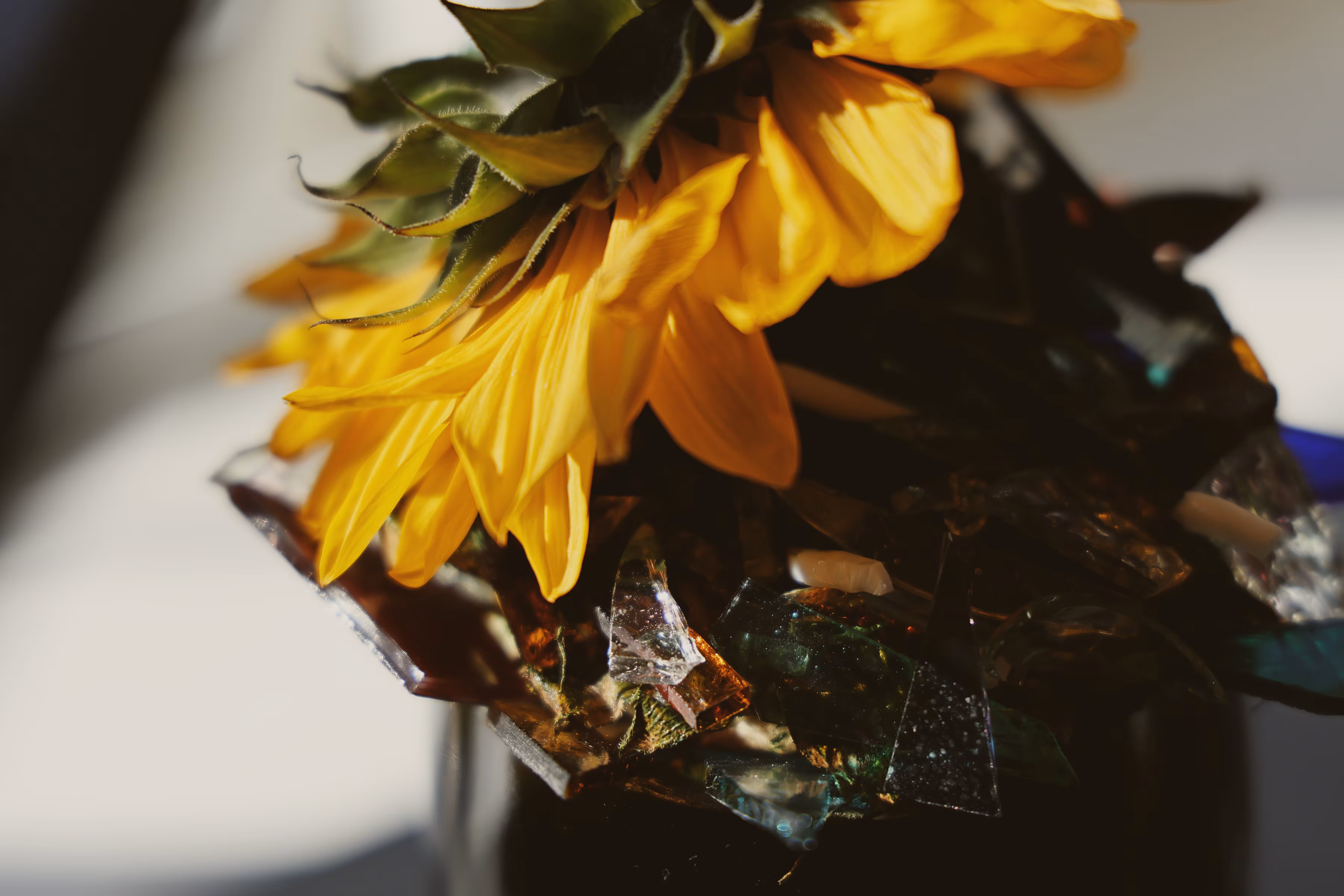 _inside