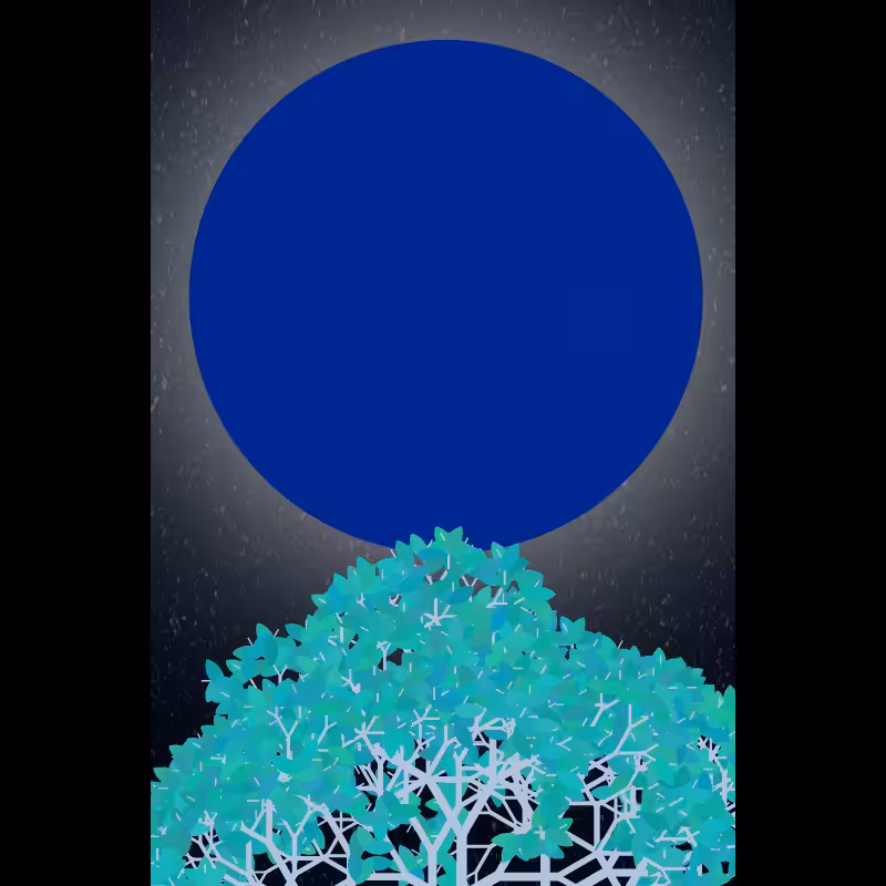 Moonlight Sonata #78