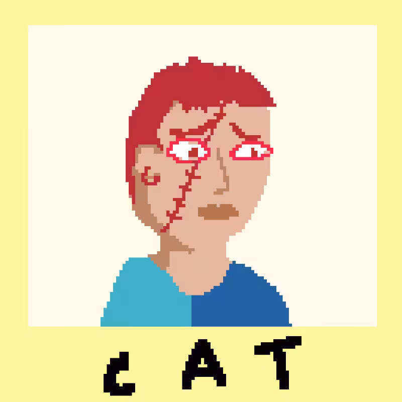 nAMED PUNK #222
