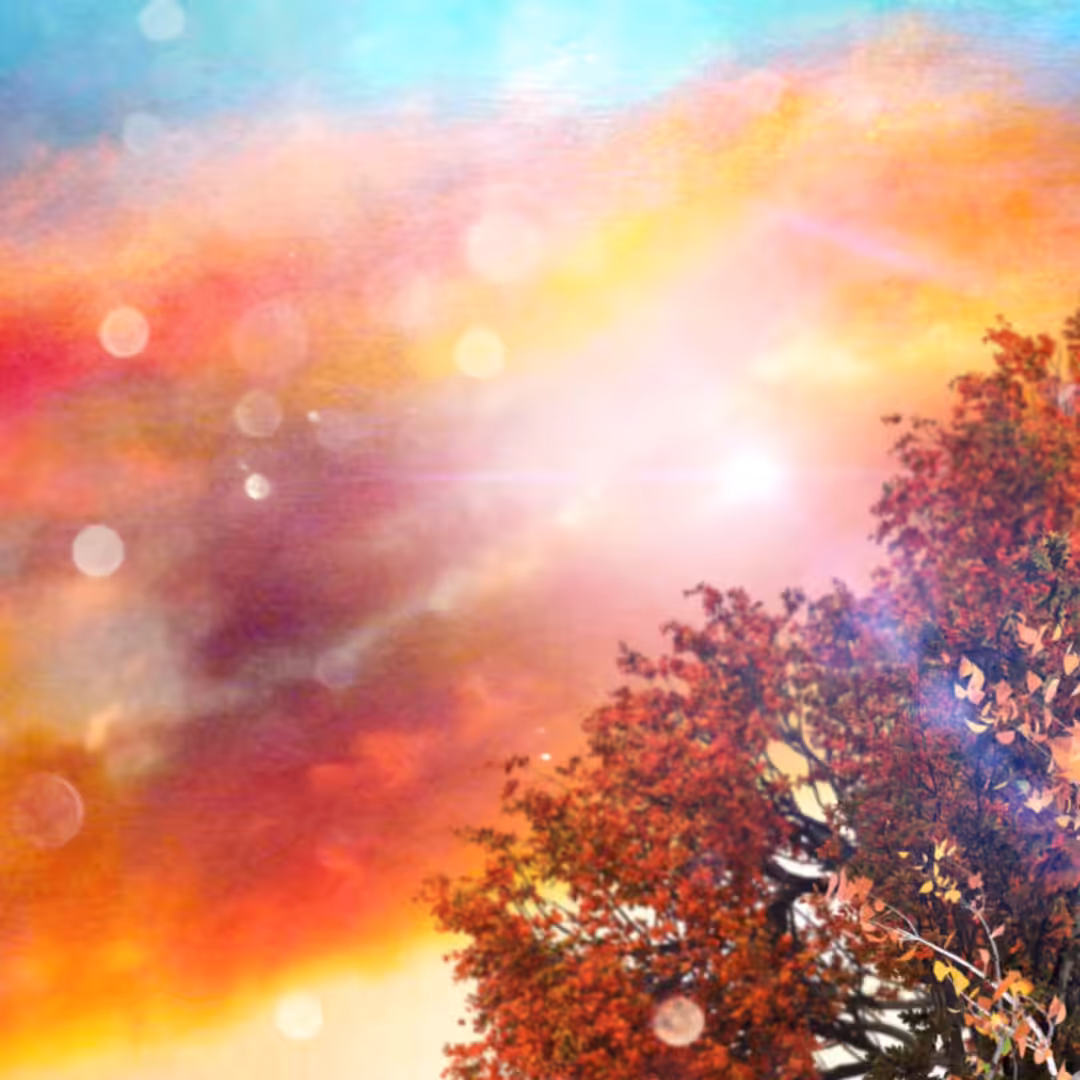 AUTUMN SUNSET
