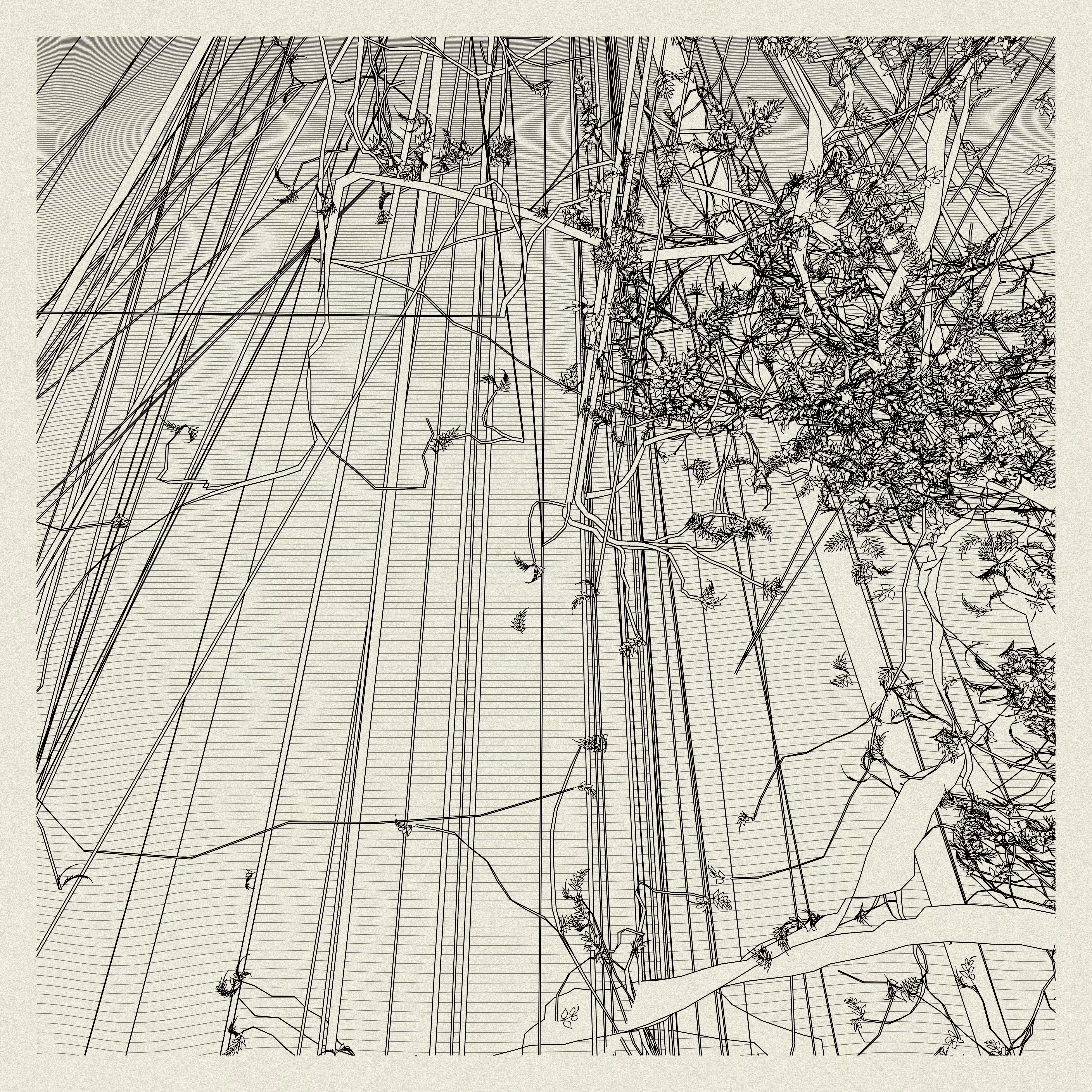 A Bugged Forest #687