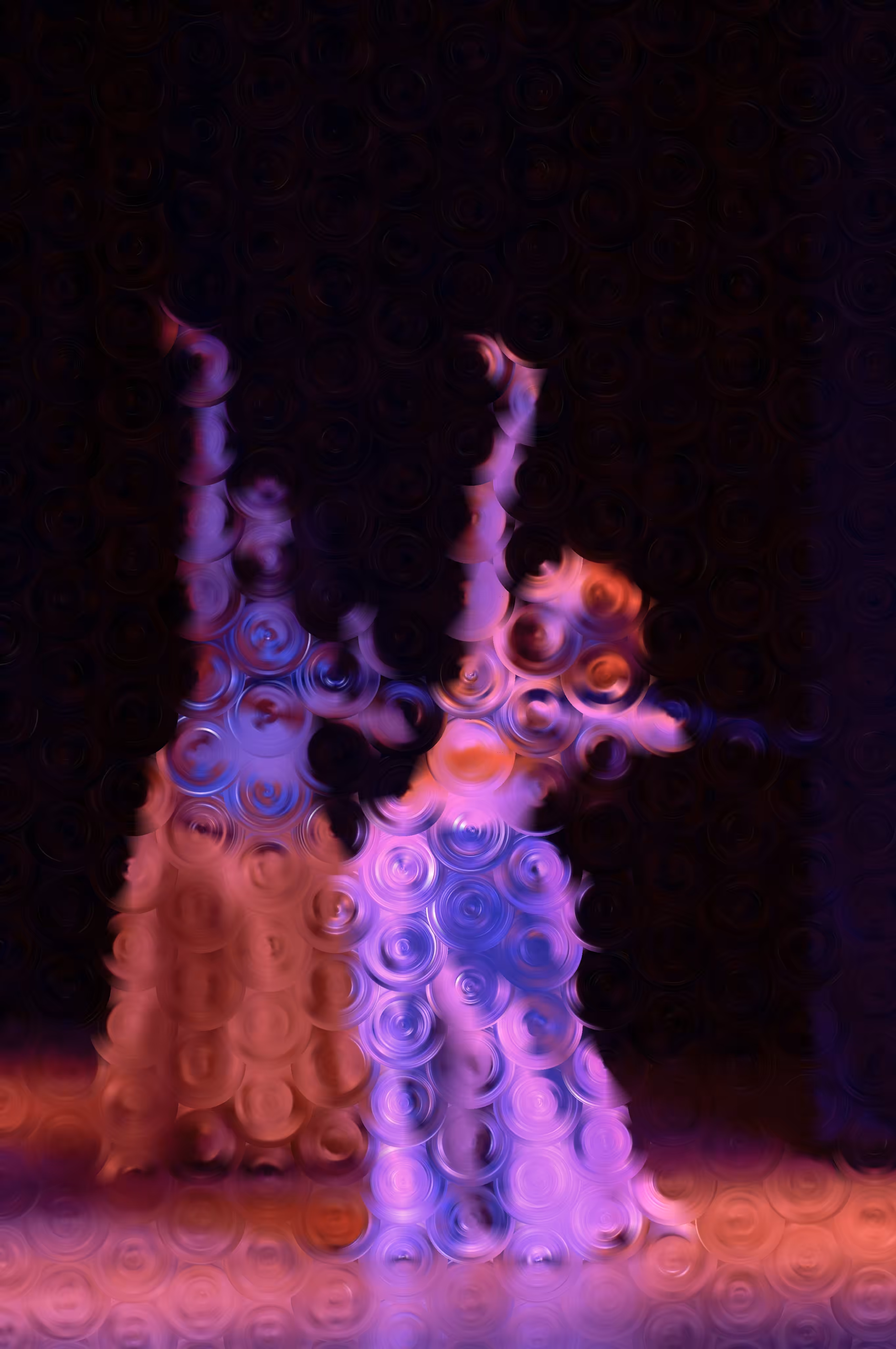 belly dancers (1)