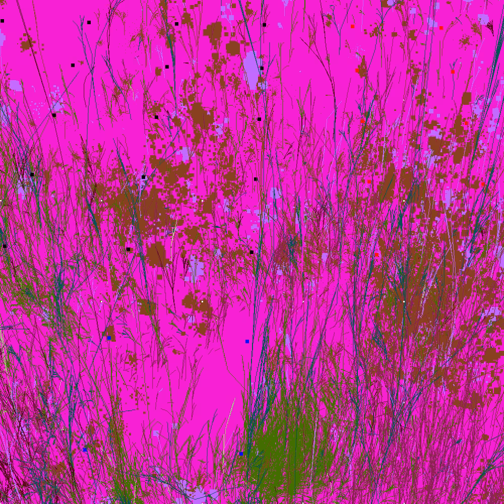 Infinite Garden: 21285 Flowers