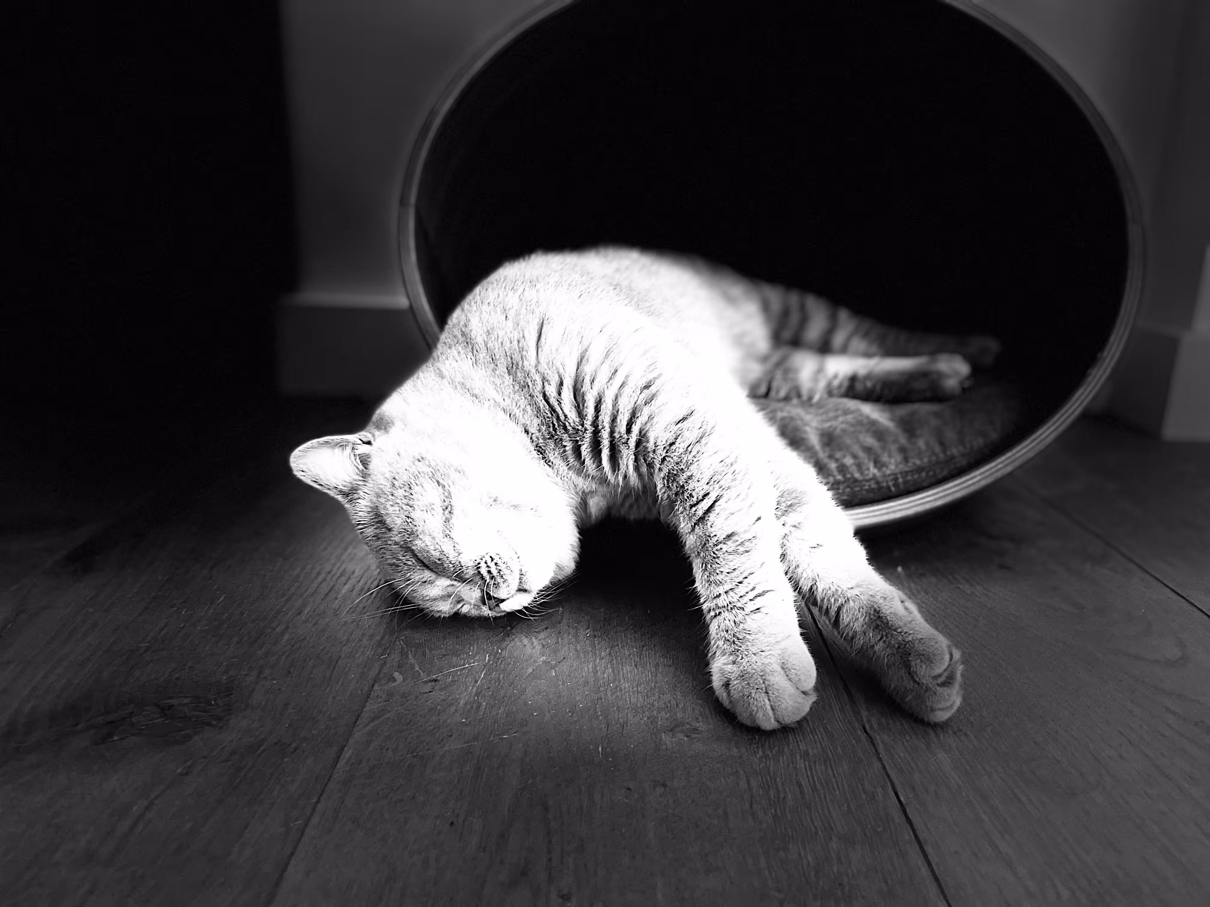 Sol #1