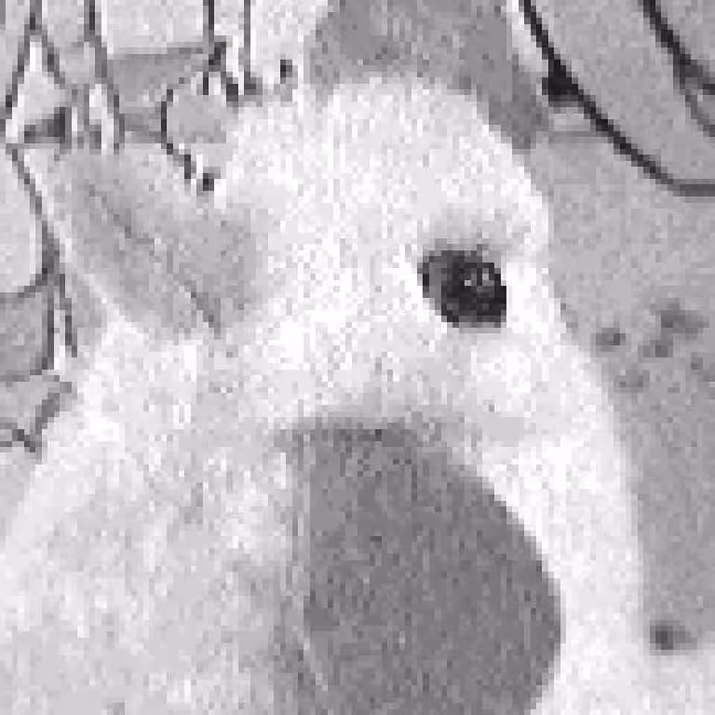 Coin-Op Chicken #1