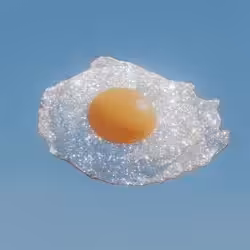Egg