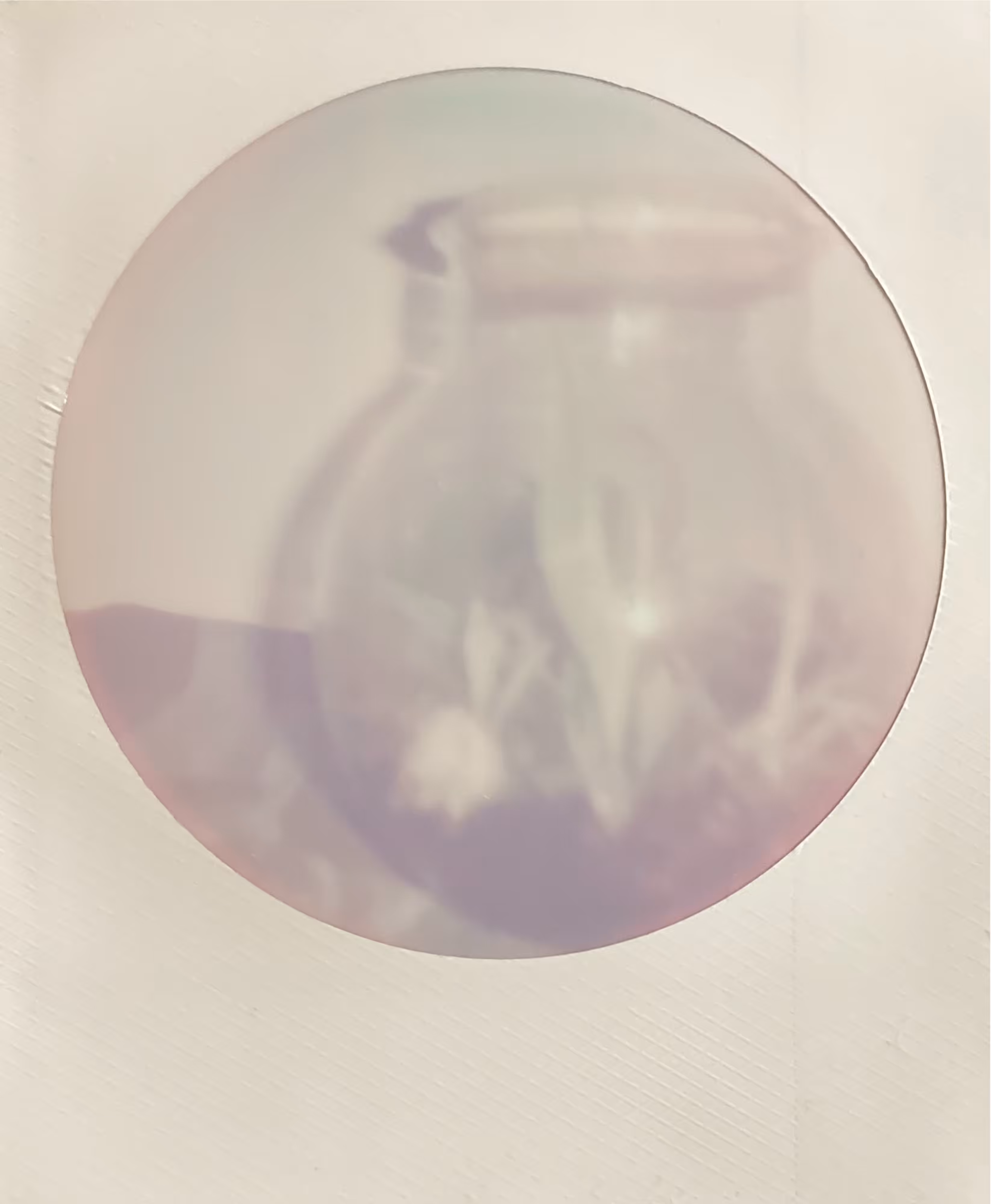 Polaroids 33