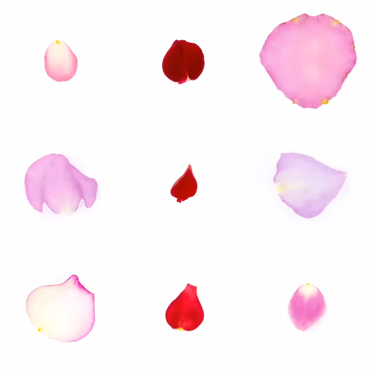 Infinite Petals 3x3#20623