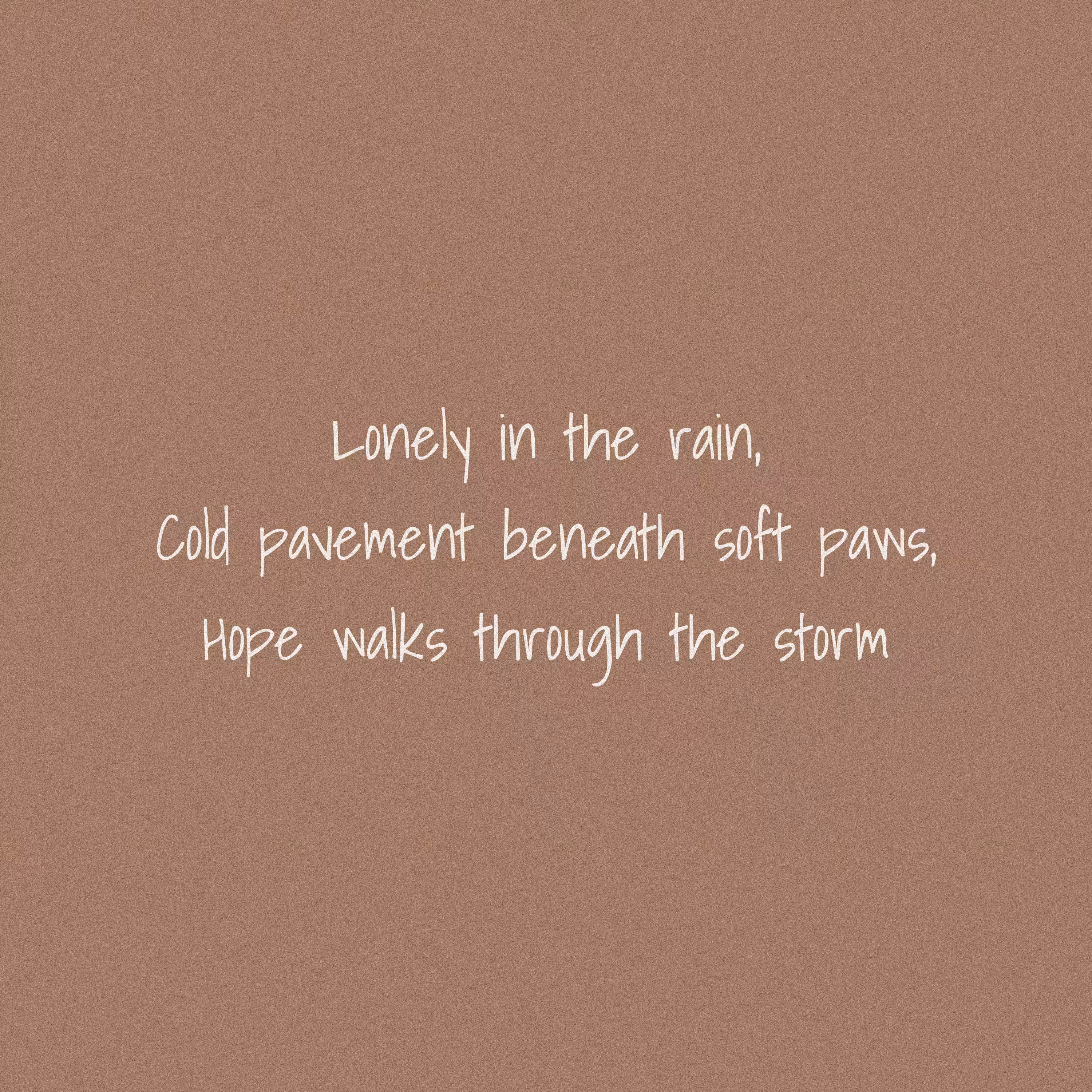 Writings - Soft Paws Bracing The Storm