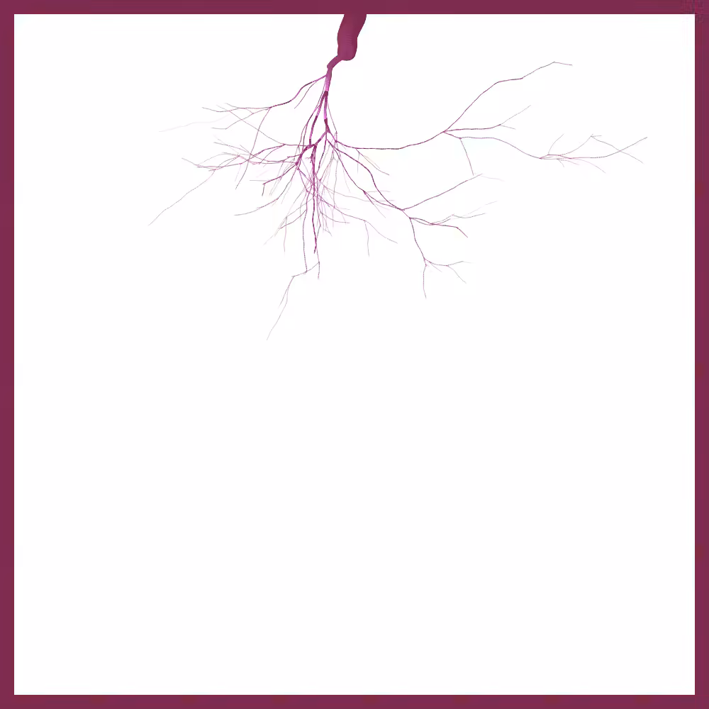 Arbres suspendus #158