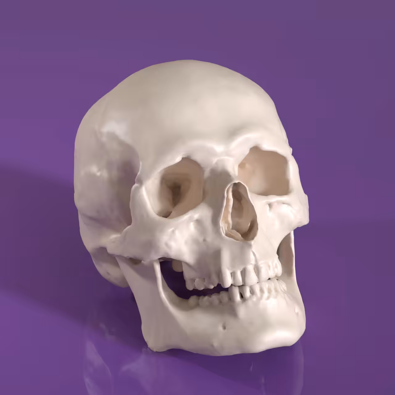 Skull #2/3