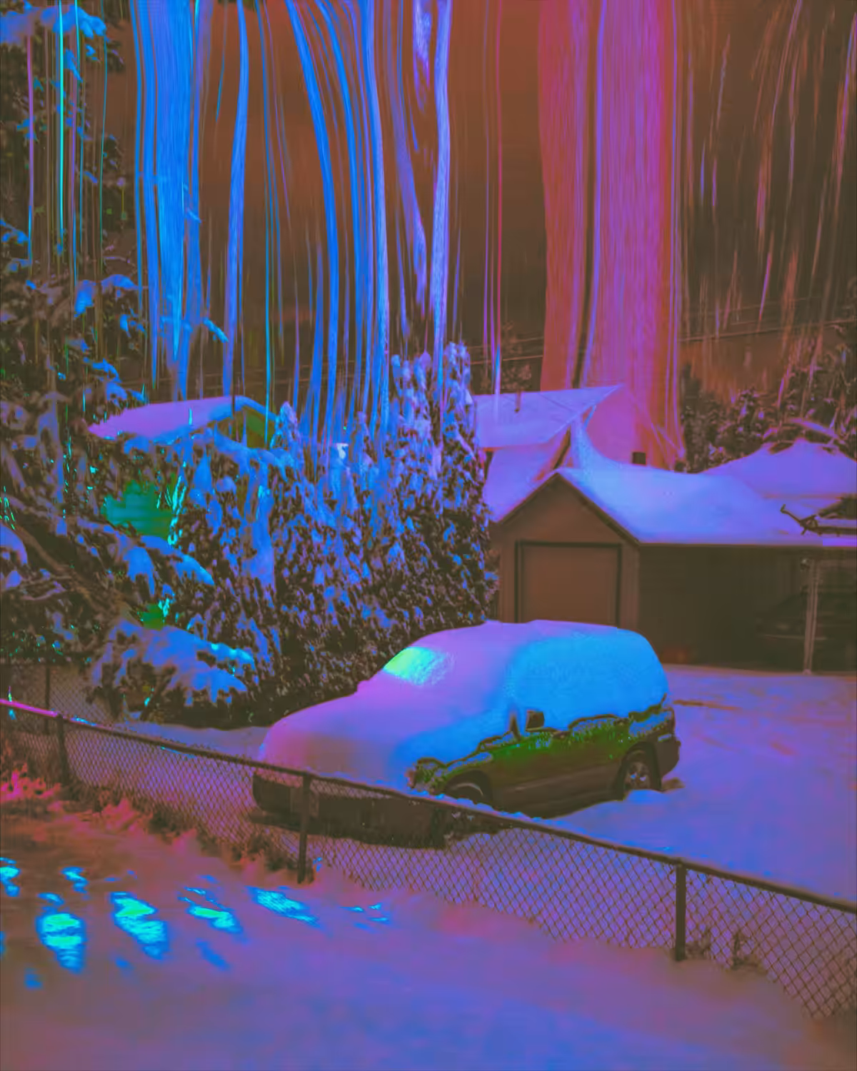 Backyard Trip 