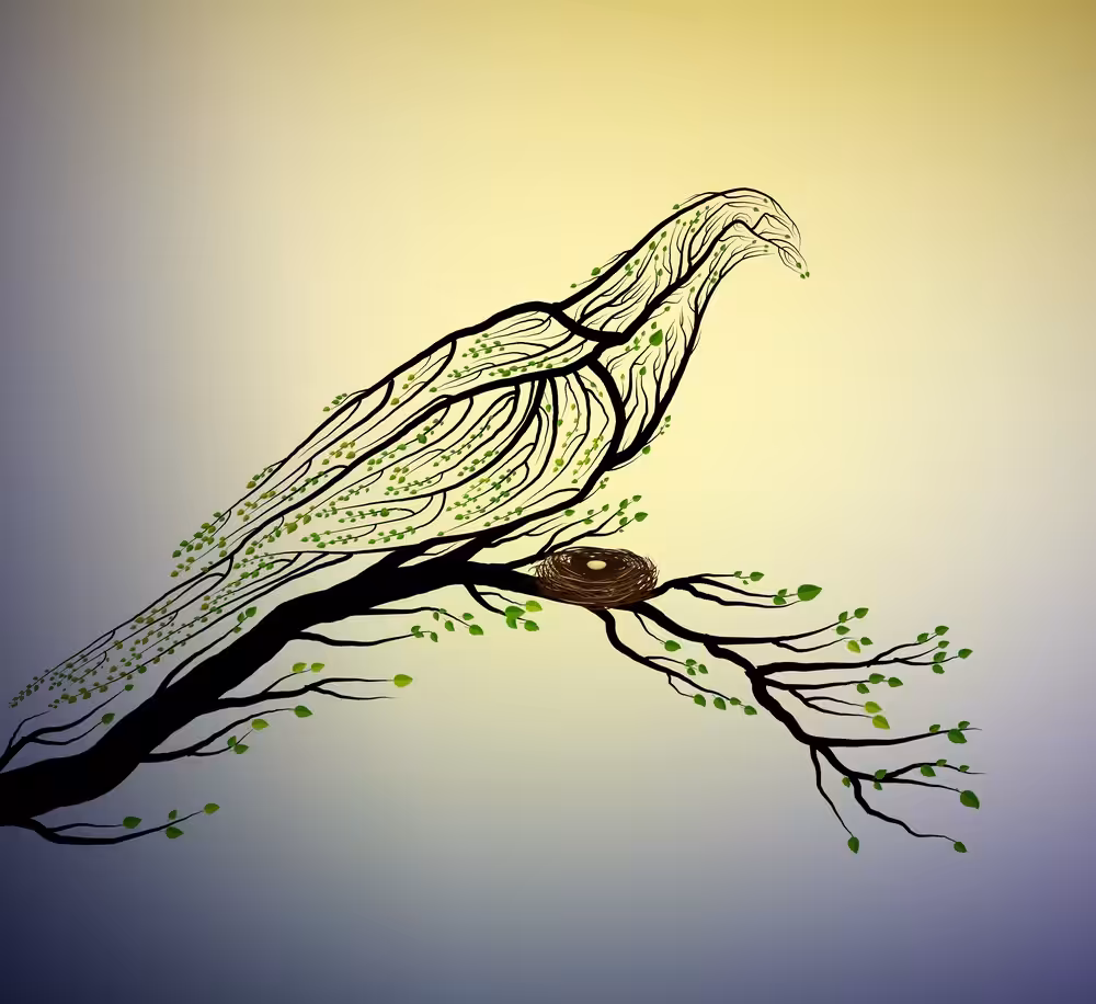 the last  forest bird