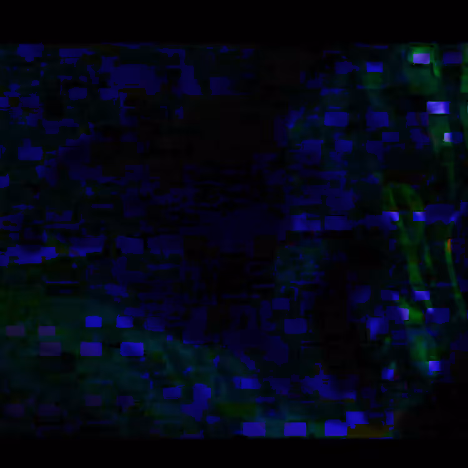 Donnie Darko-- 2001