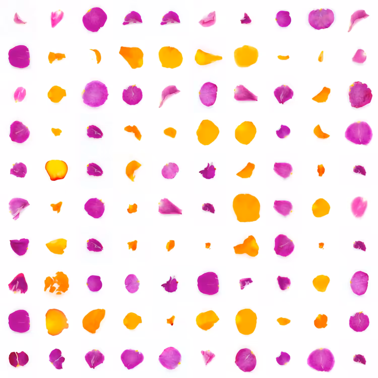 Infinite Petals 10x10#10172