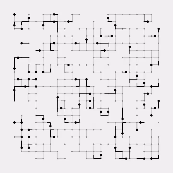 DoodleDeProgramming_20240427