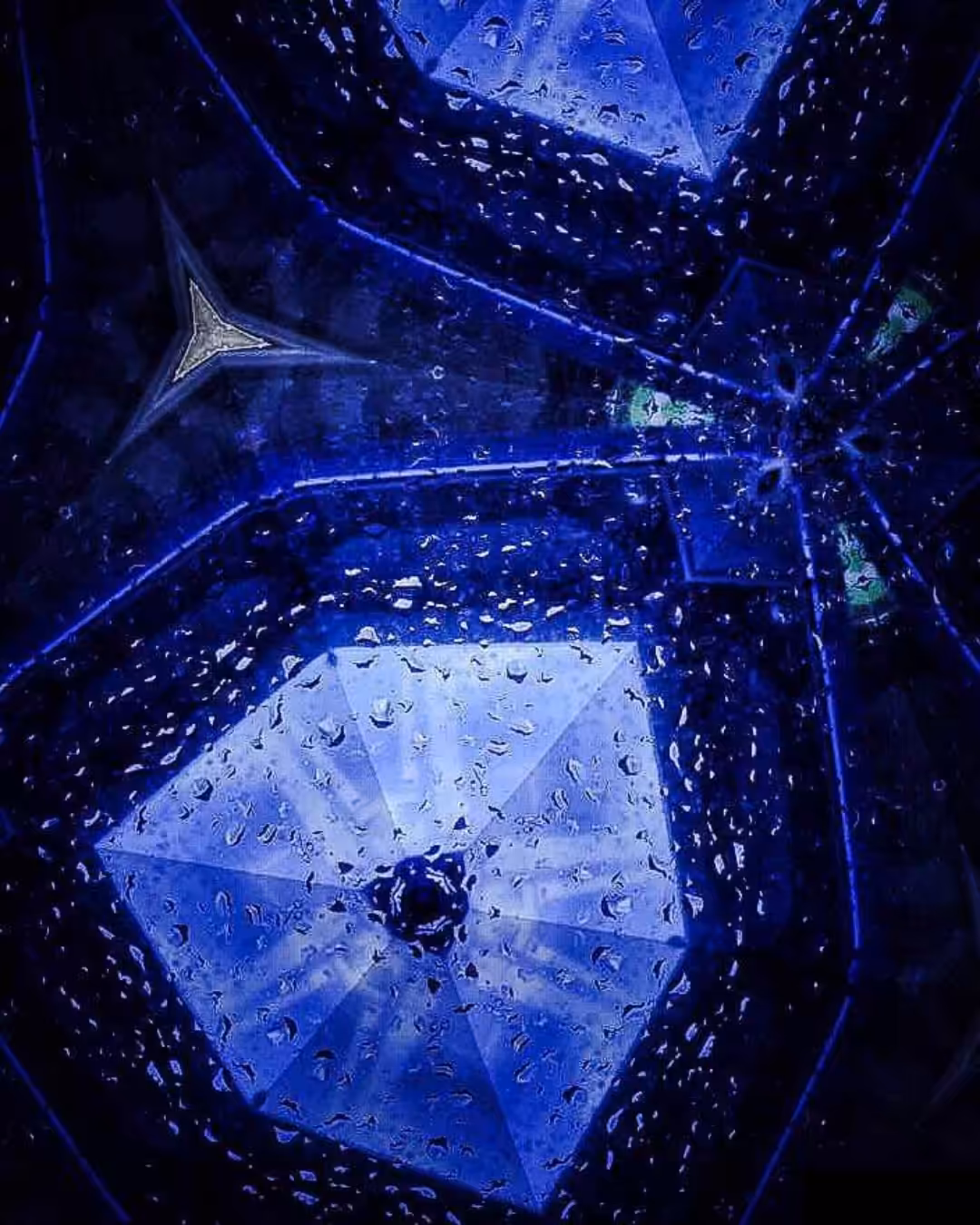 In the Rain