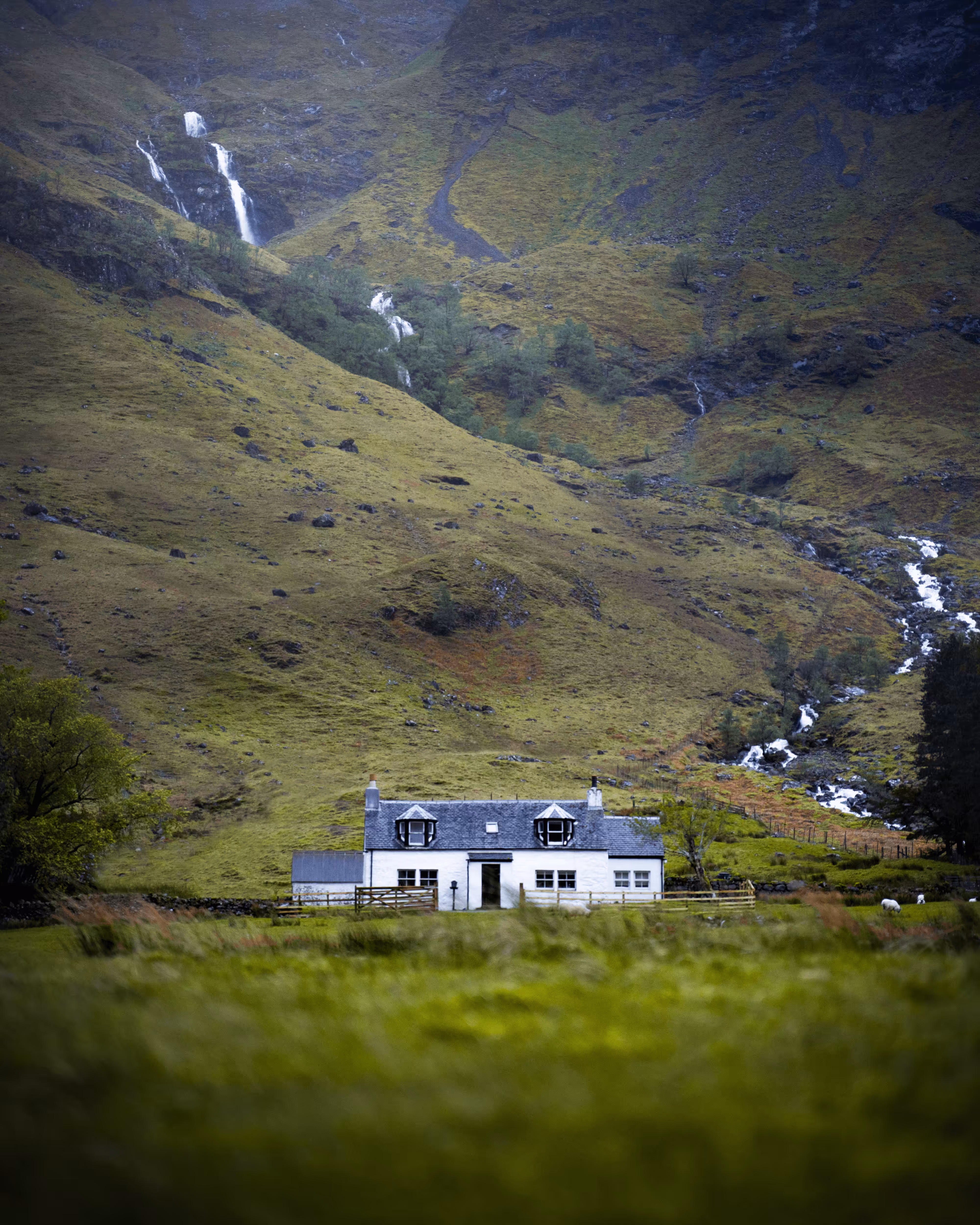#97 - Highland Cottage