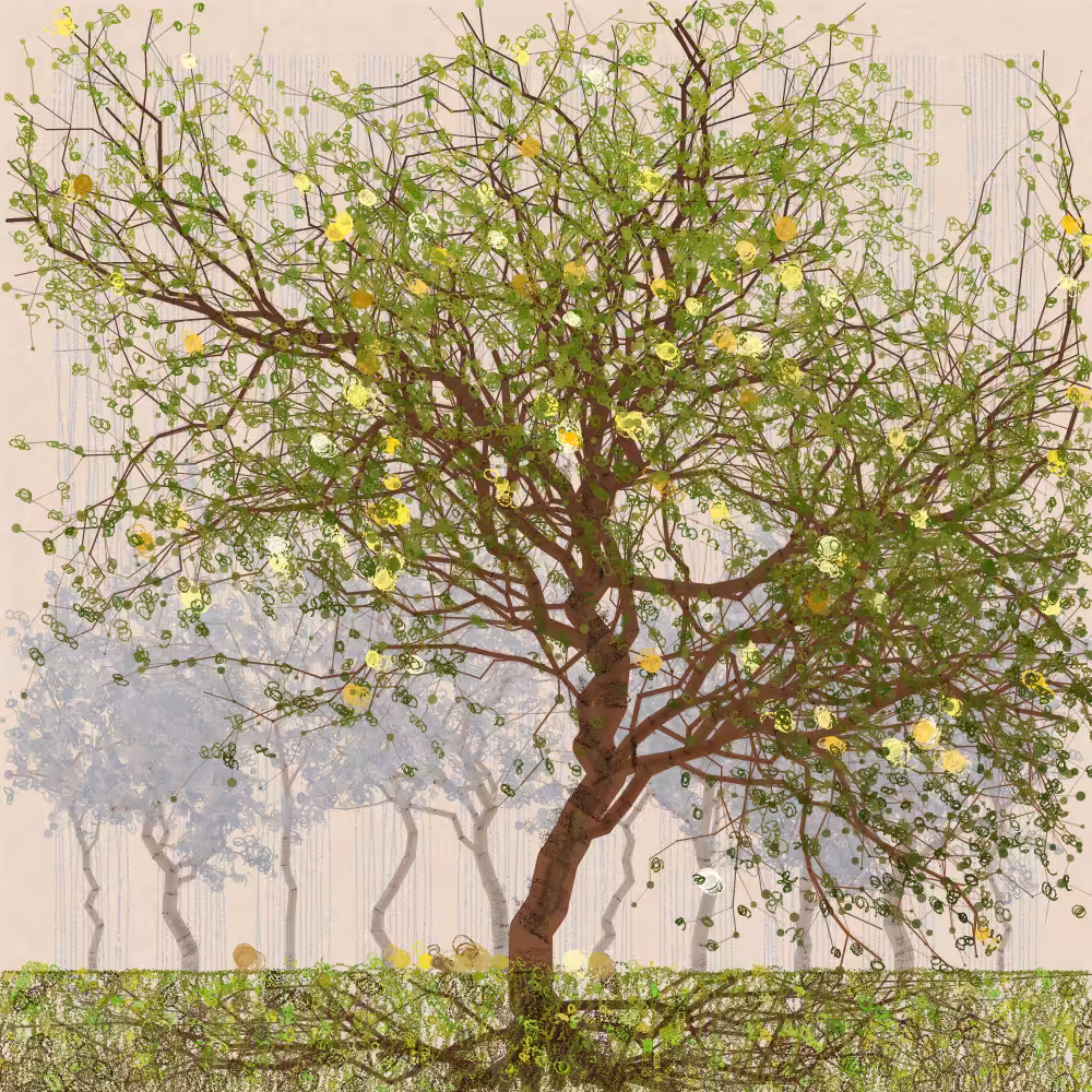 Orchard #192