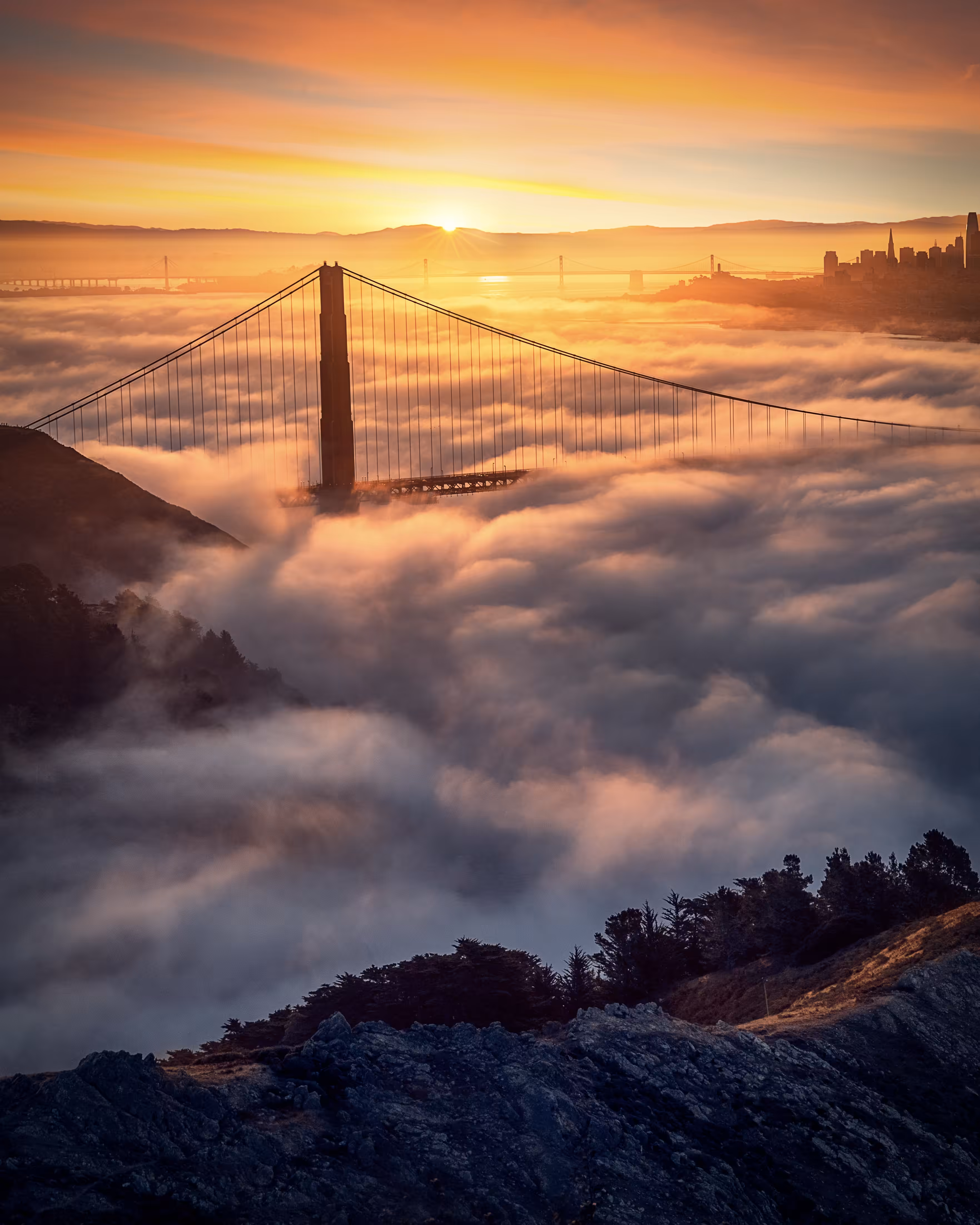 Star of the Golden Gate