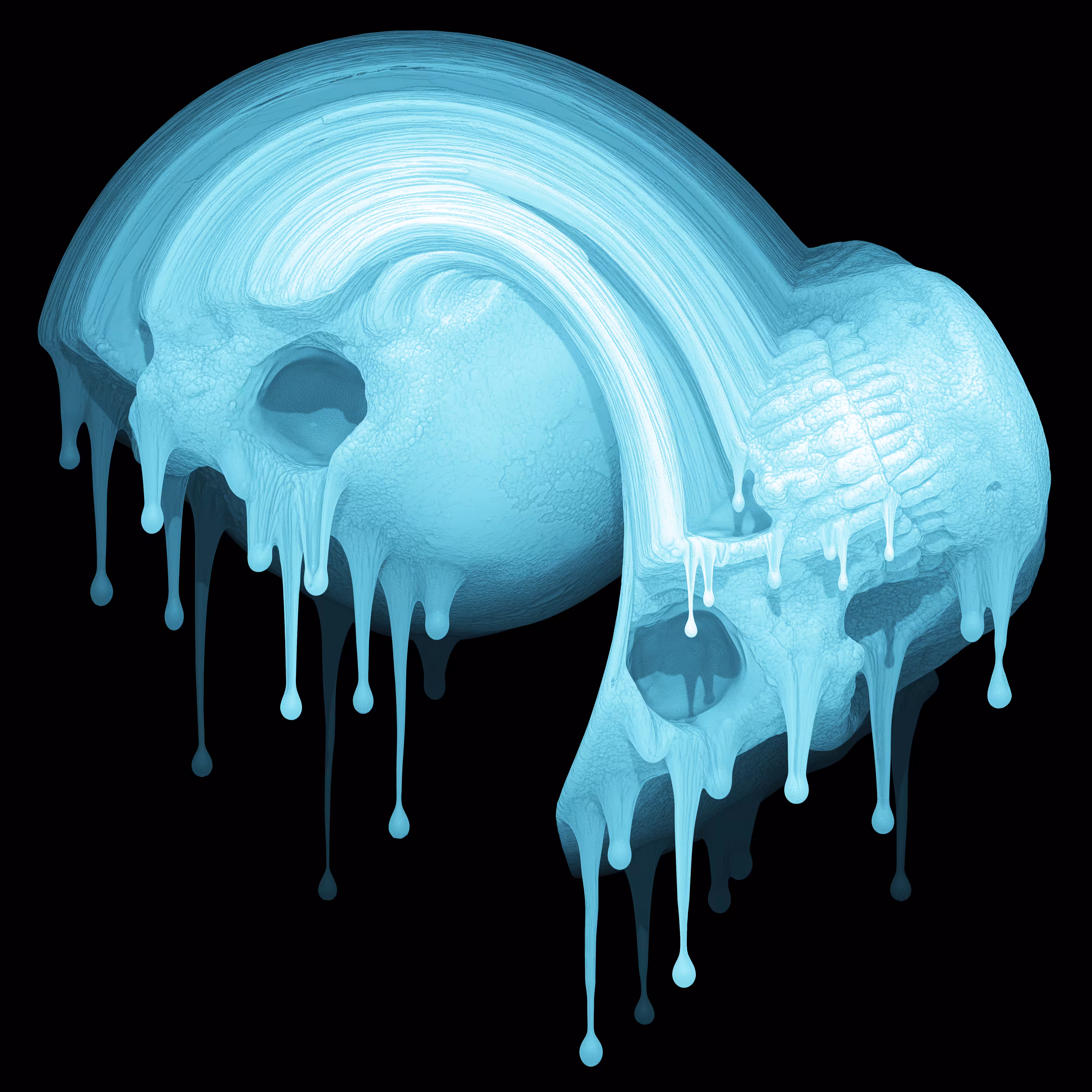 Skin Hodlr #09 (X-ray)