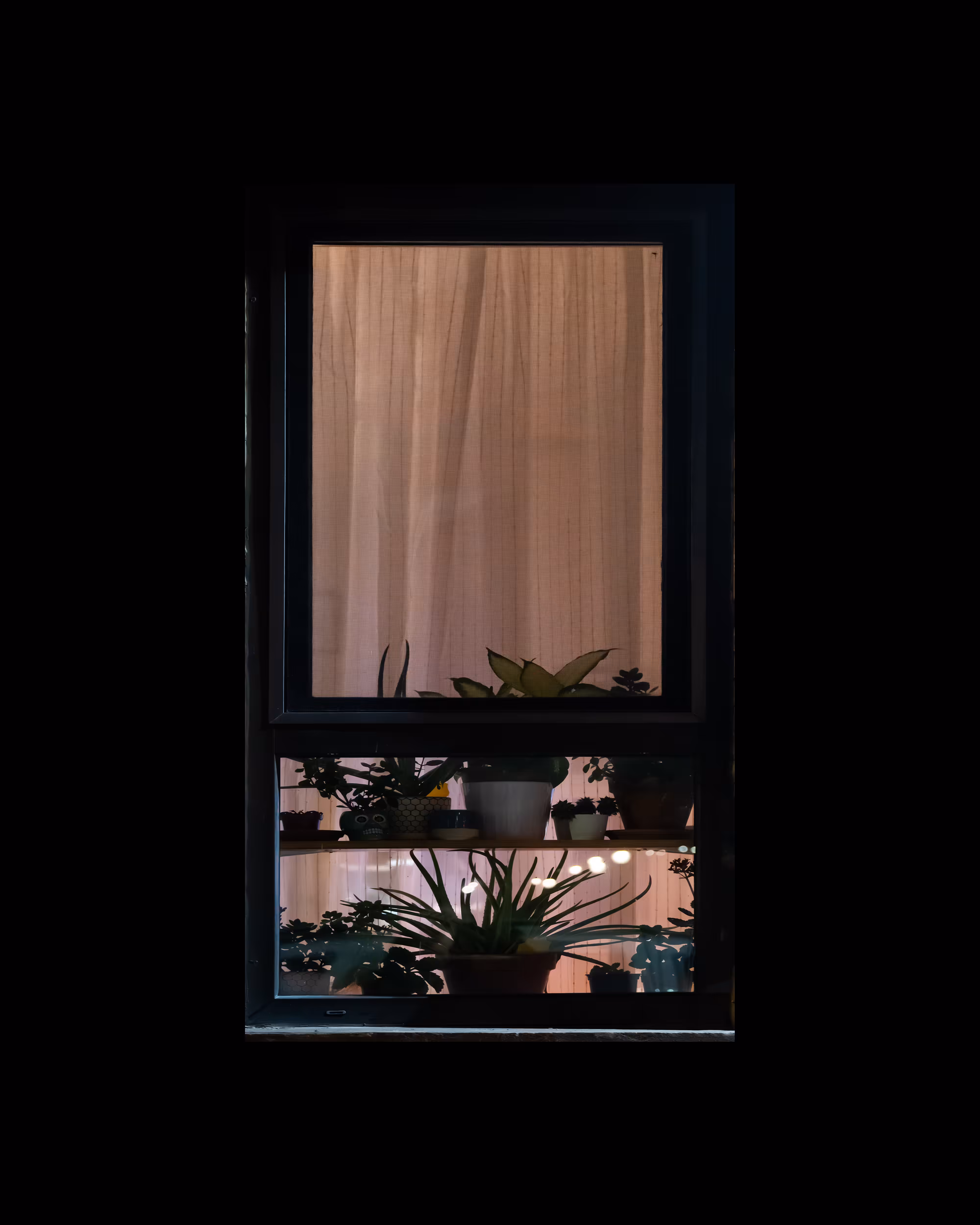 WINDOWS // NYC: WINDOW 501
