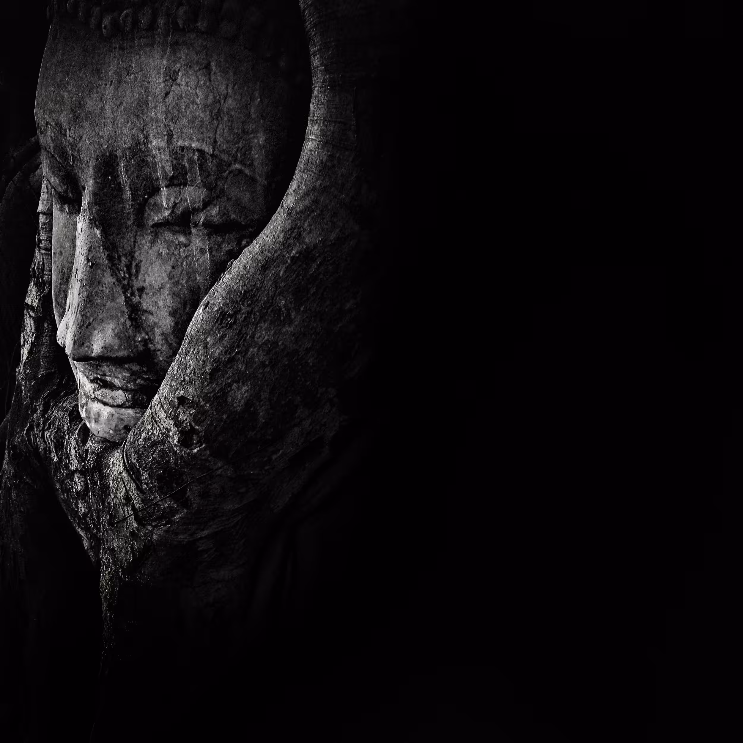 Buddha's face