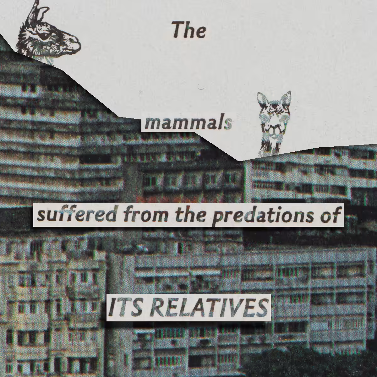 ITS RELATIVES