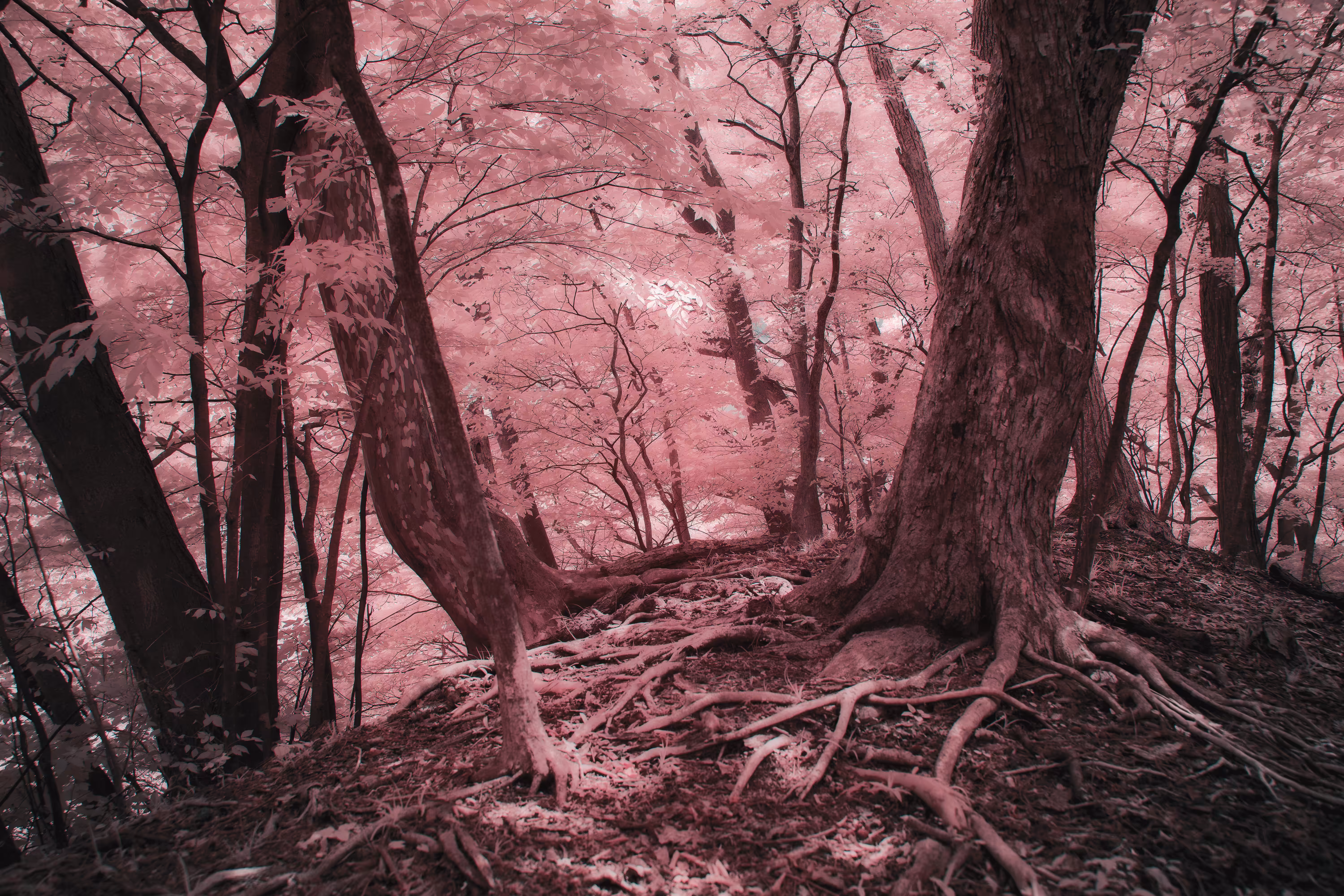 Fragments of Unreality #15