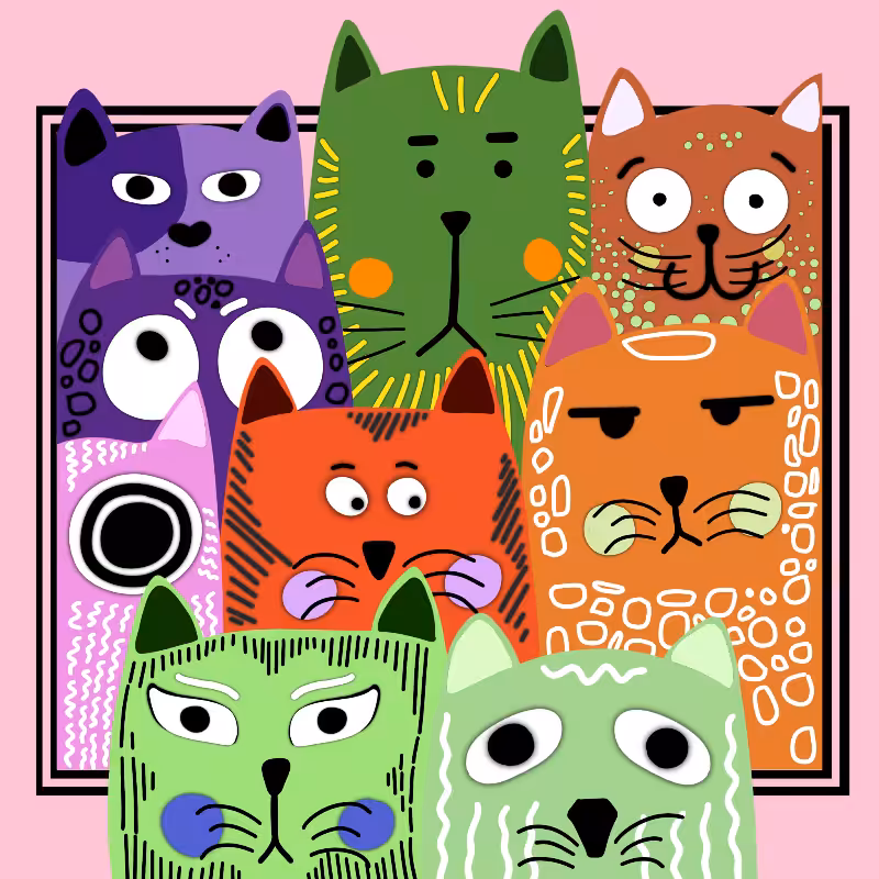 Kitty's Frame #30