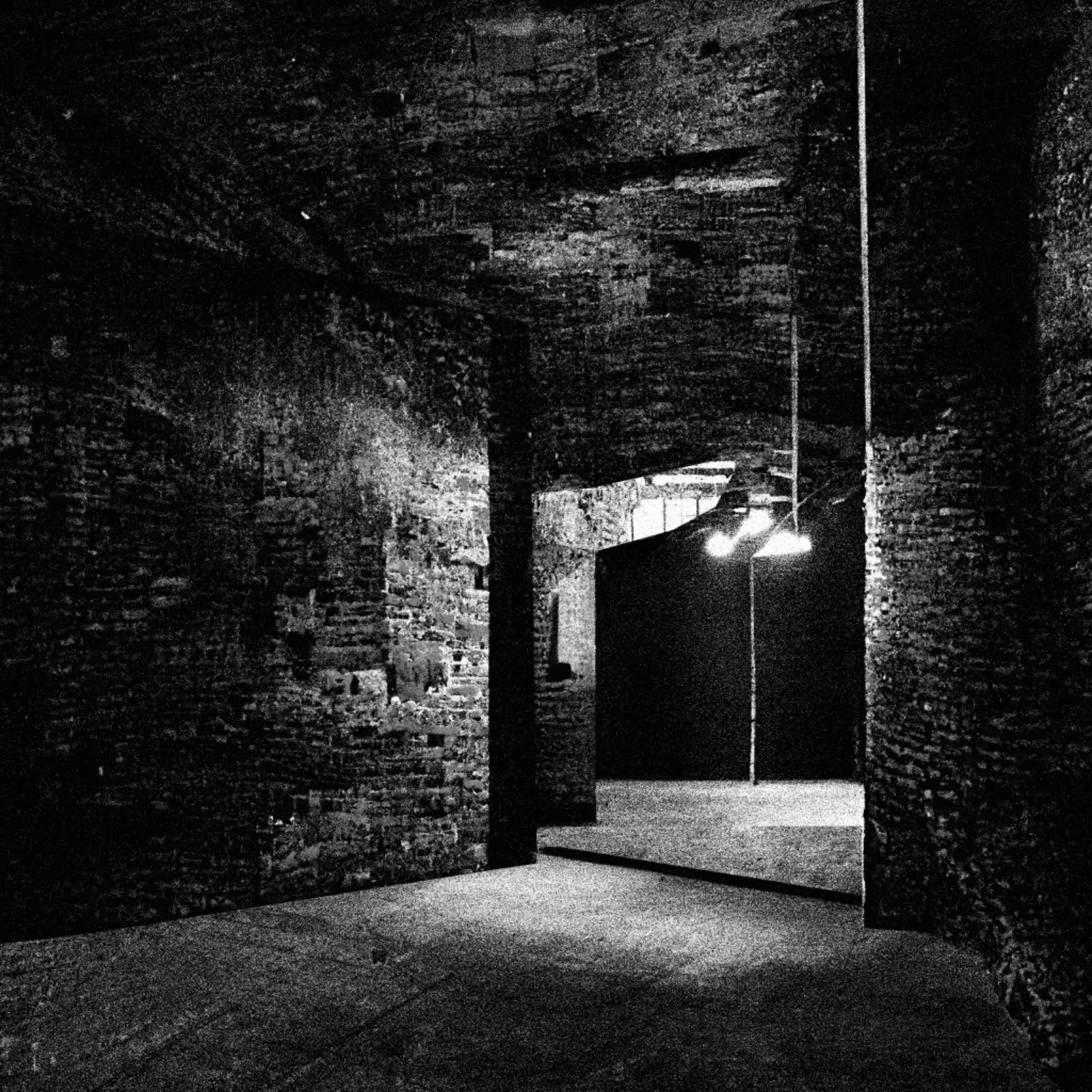 Liminal Newberry #170