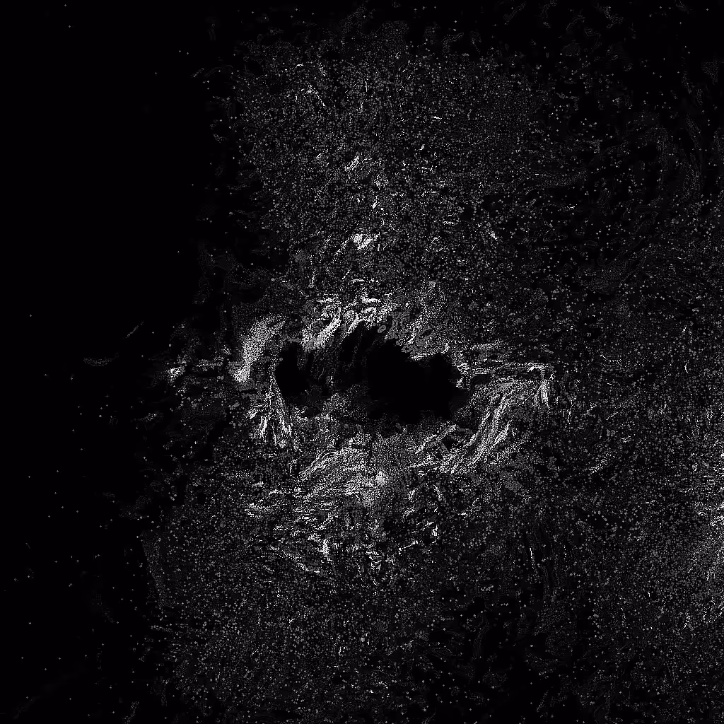 Noise #649 