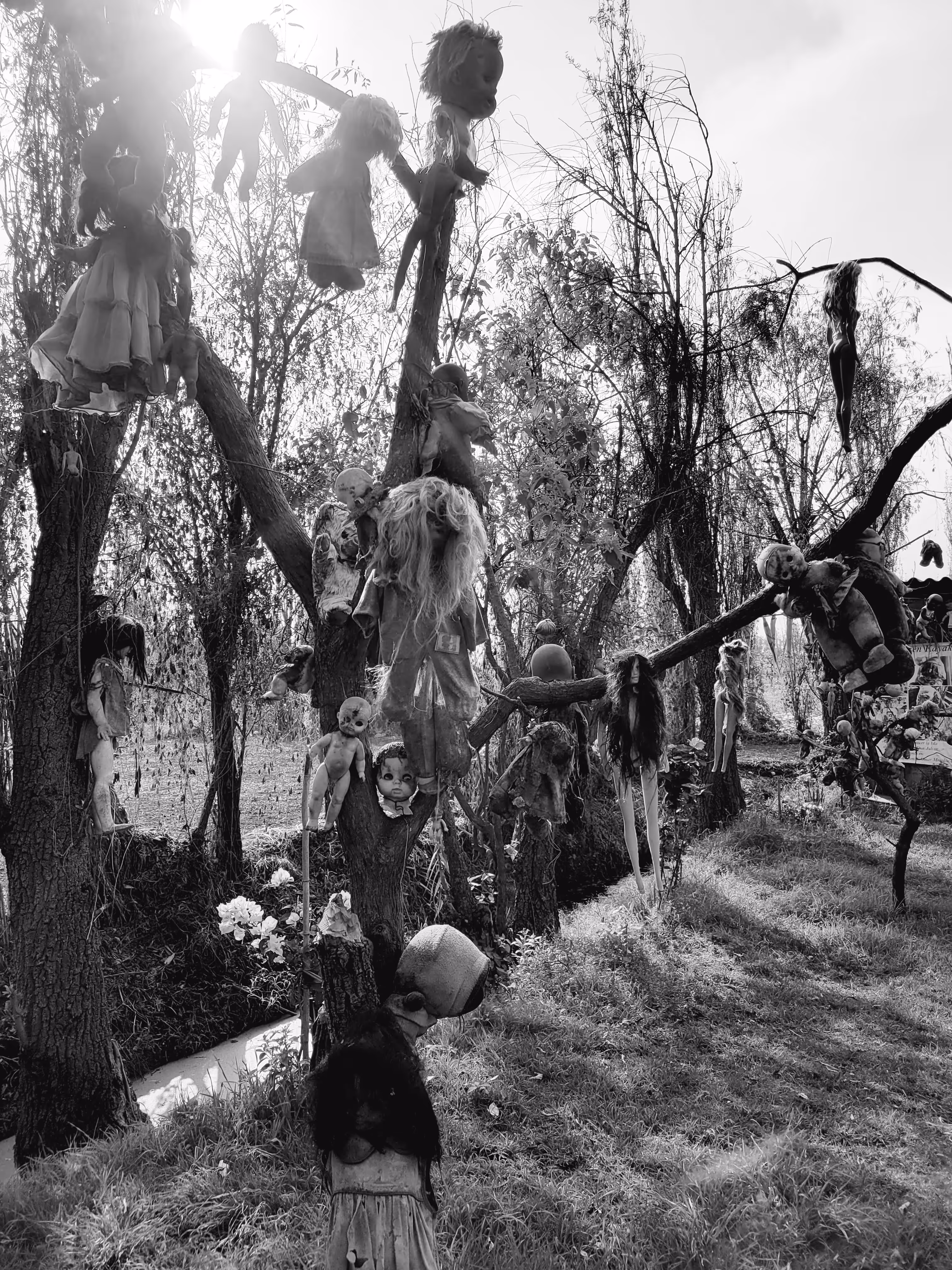 Island of the Dead Dolls 5