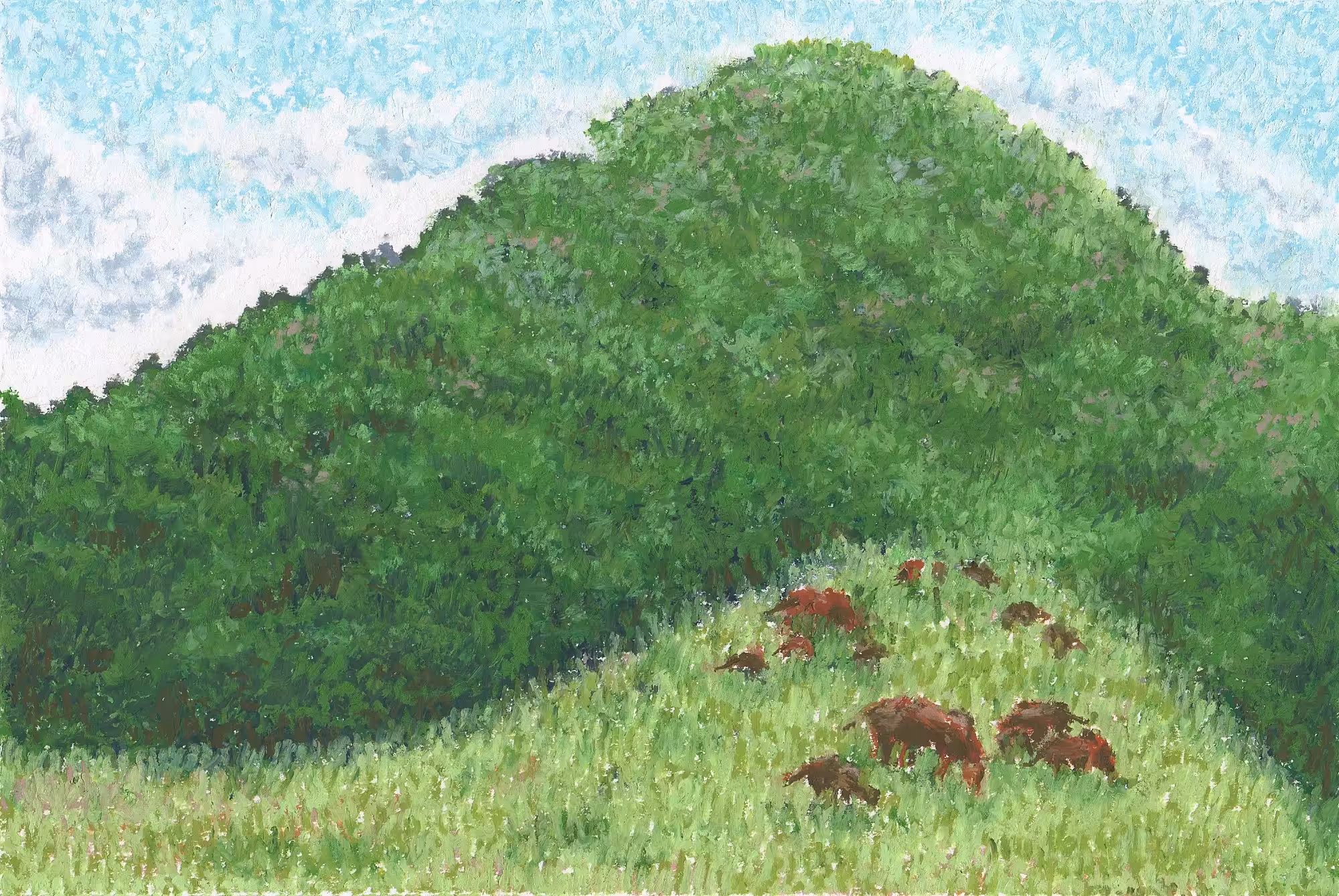 New Mountain Journey