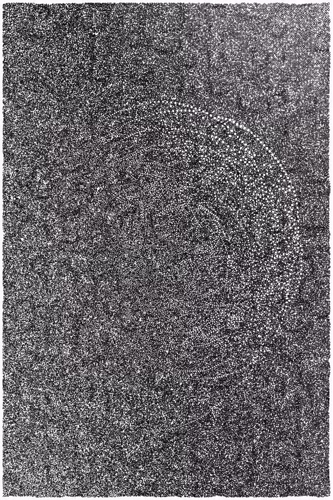 Cosmic #22