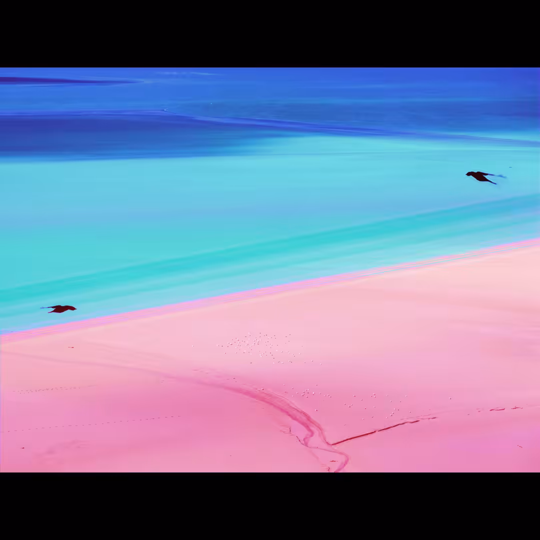 Shell