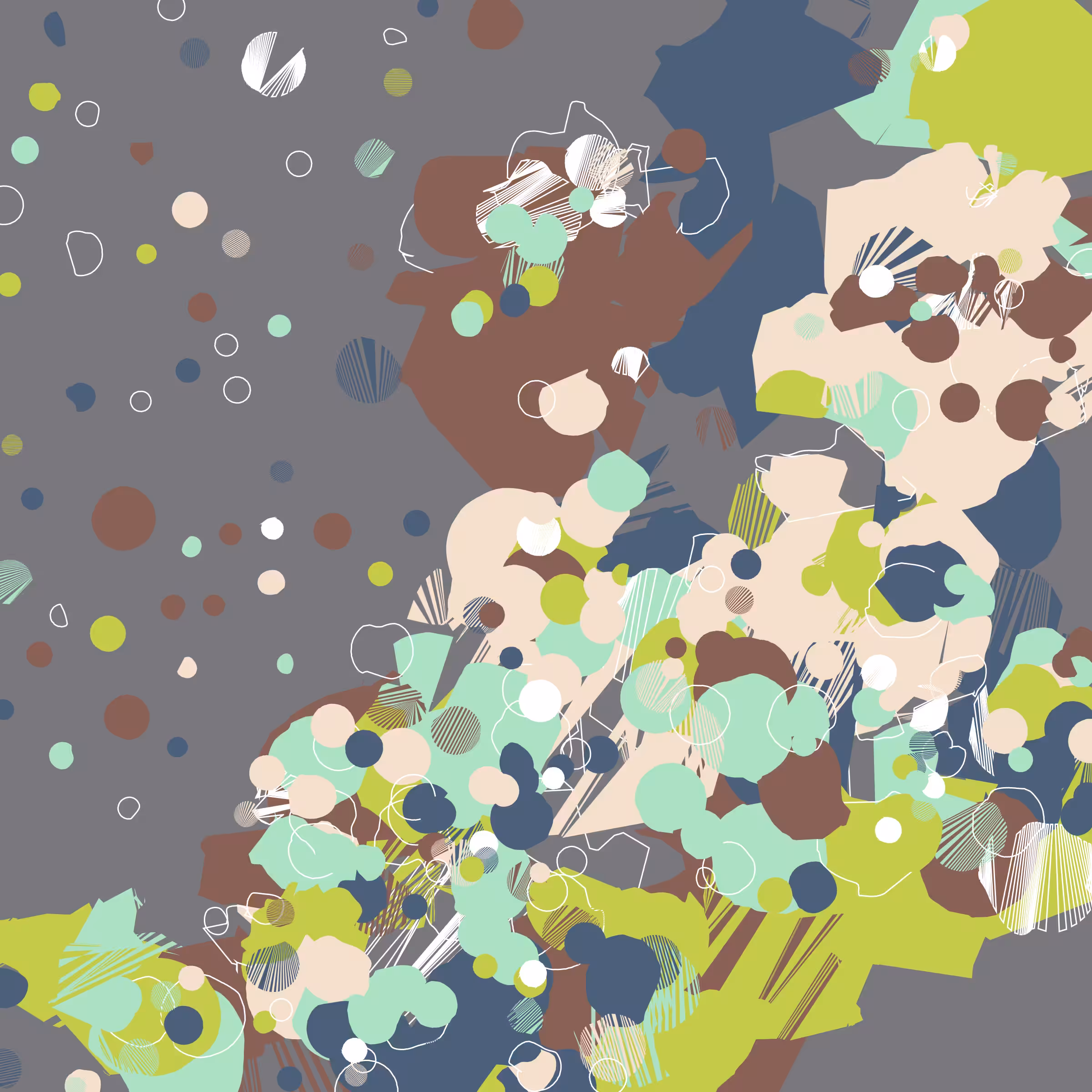 Coquina #337