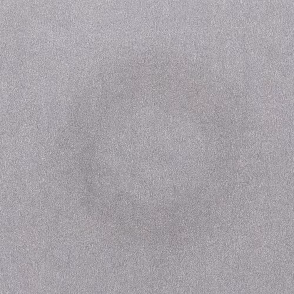 Ensō Water Painting #61