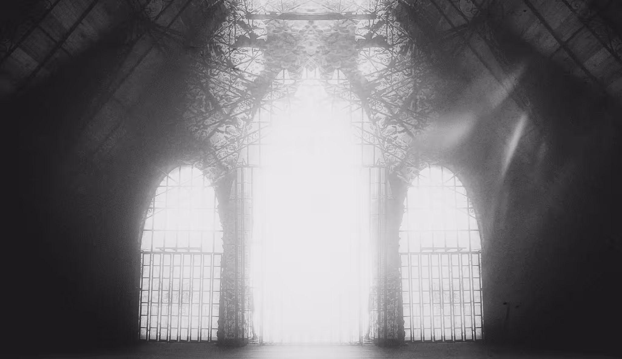 Light's Embrace