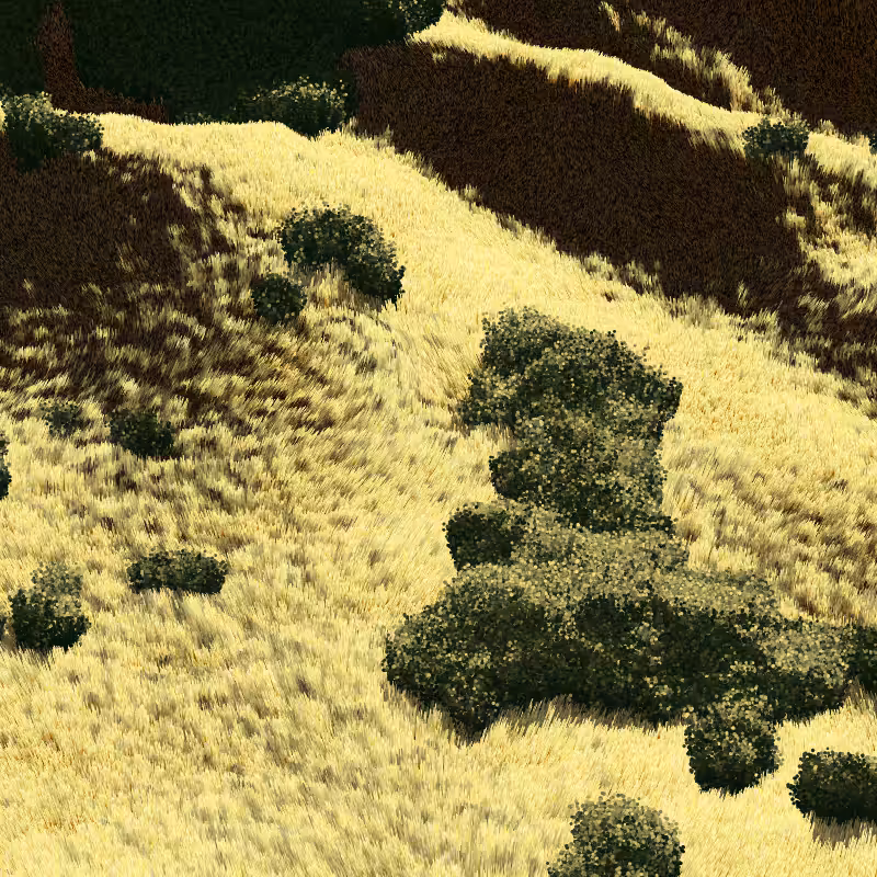 California Hills in Late Sun #38