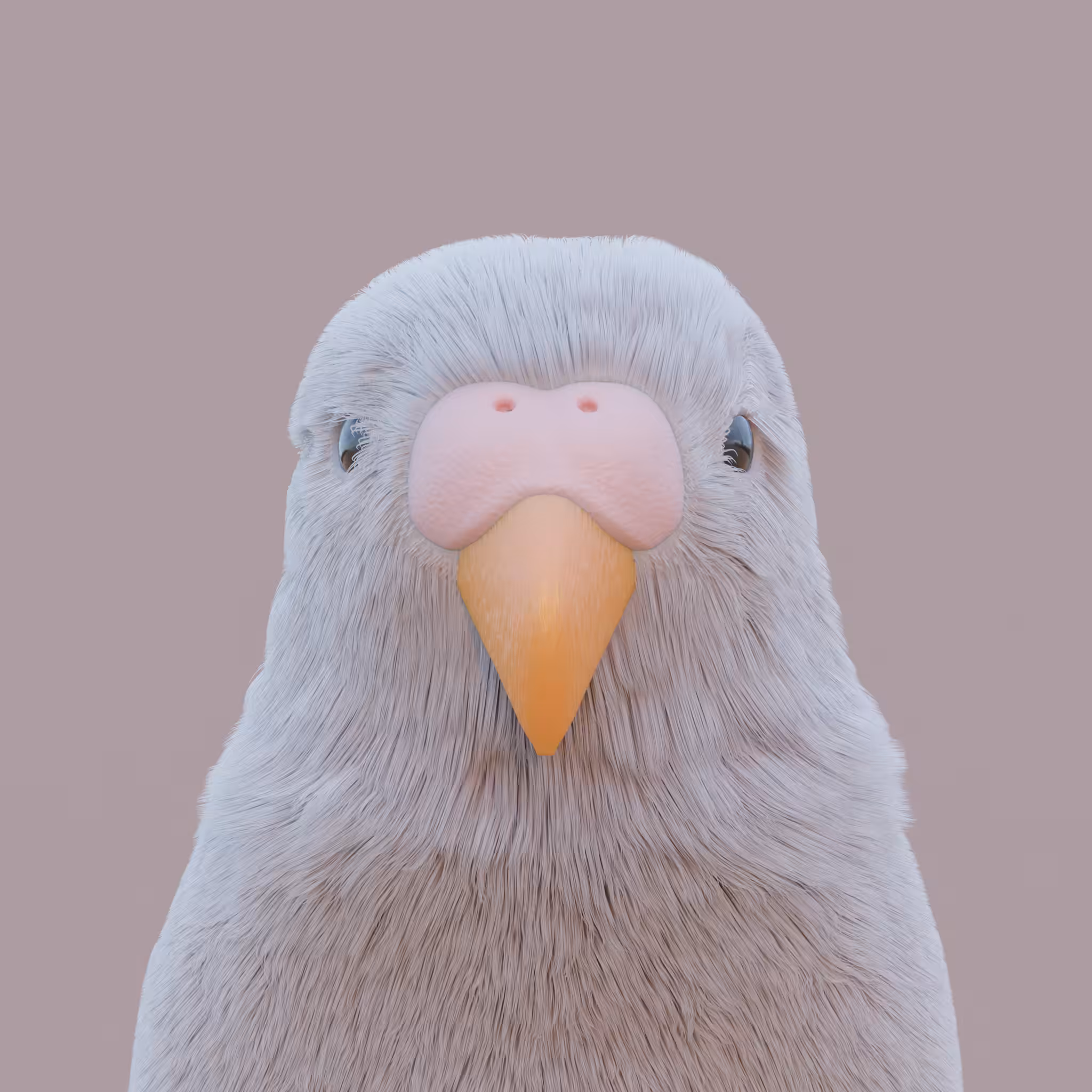 Birdie #01 - Grey