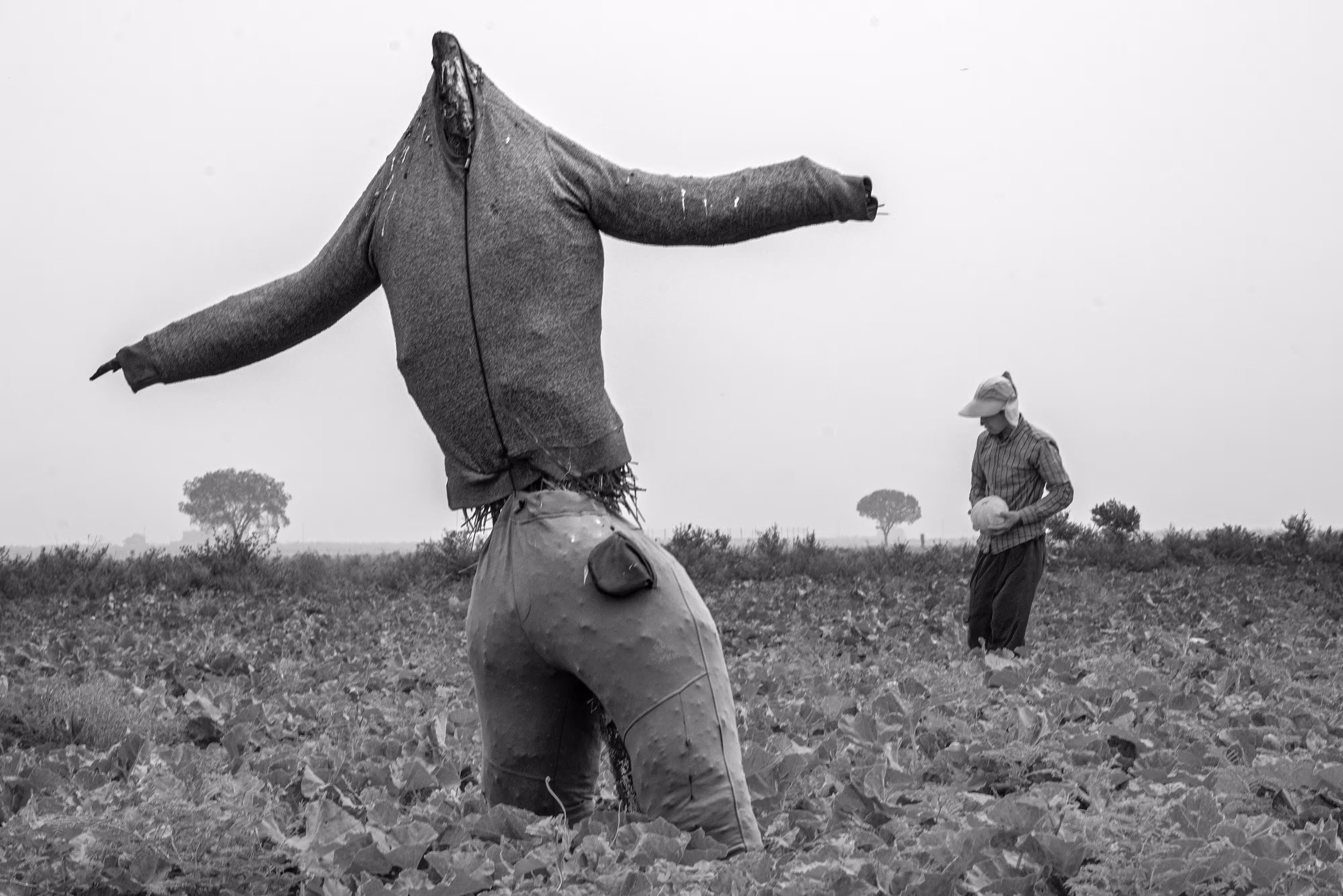 Scarecrow