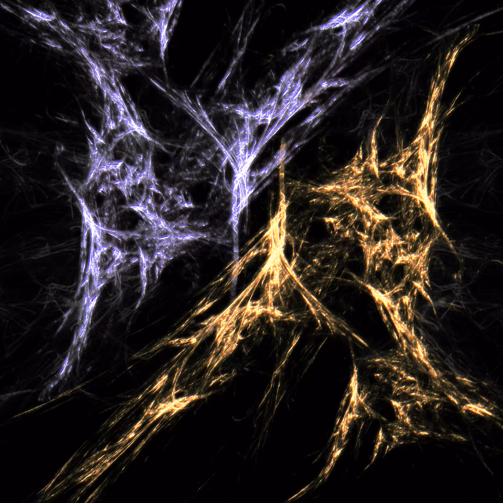 Dark Matter | Zeta