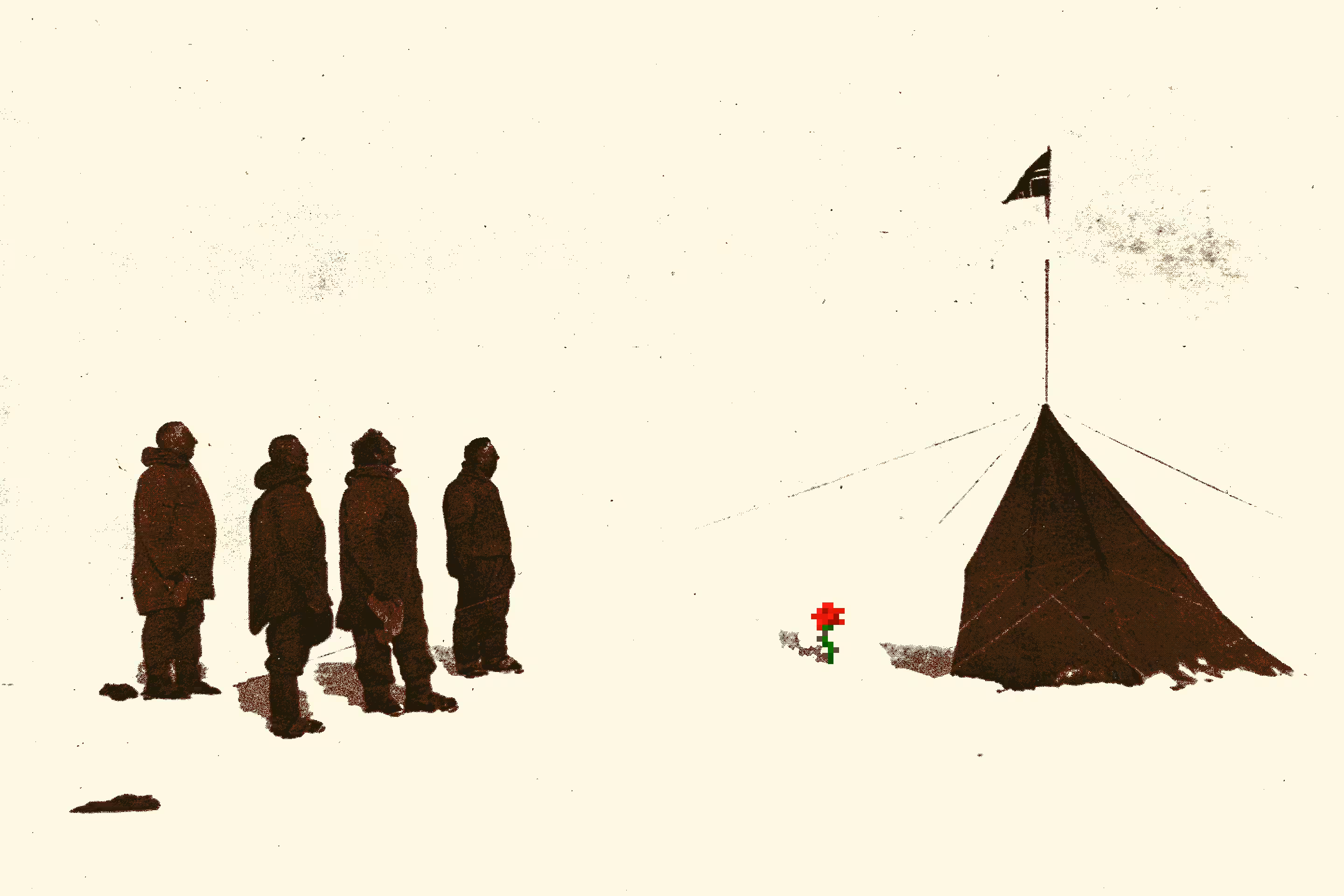 flowers in antarctica