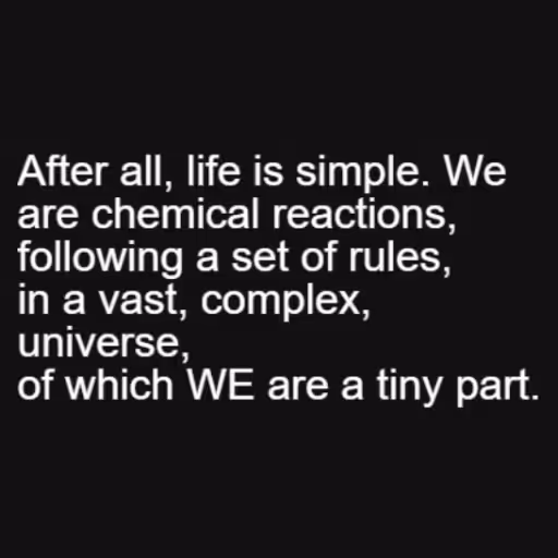 After all, life is s...