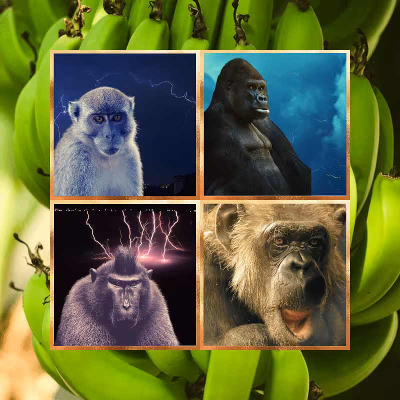 Banana legends #22