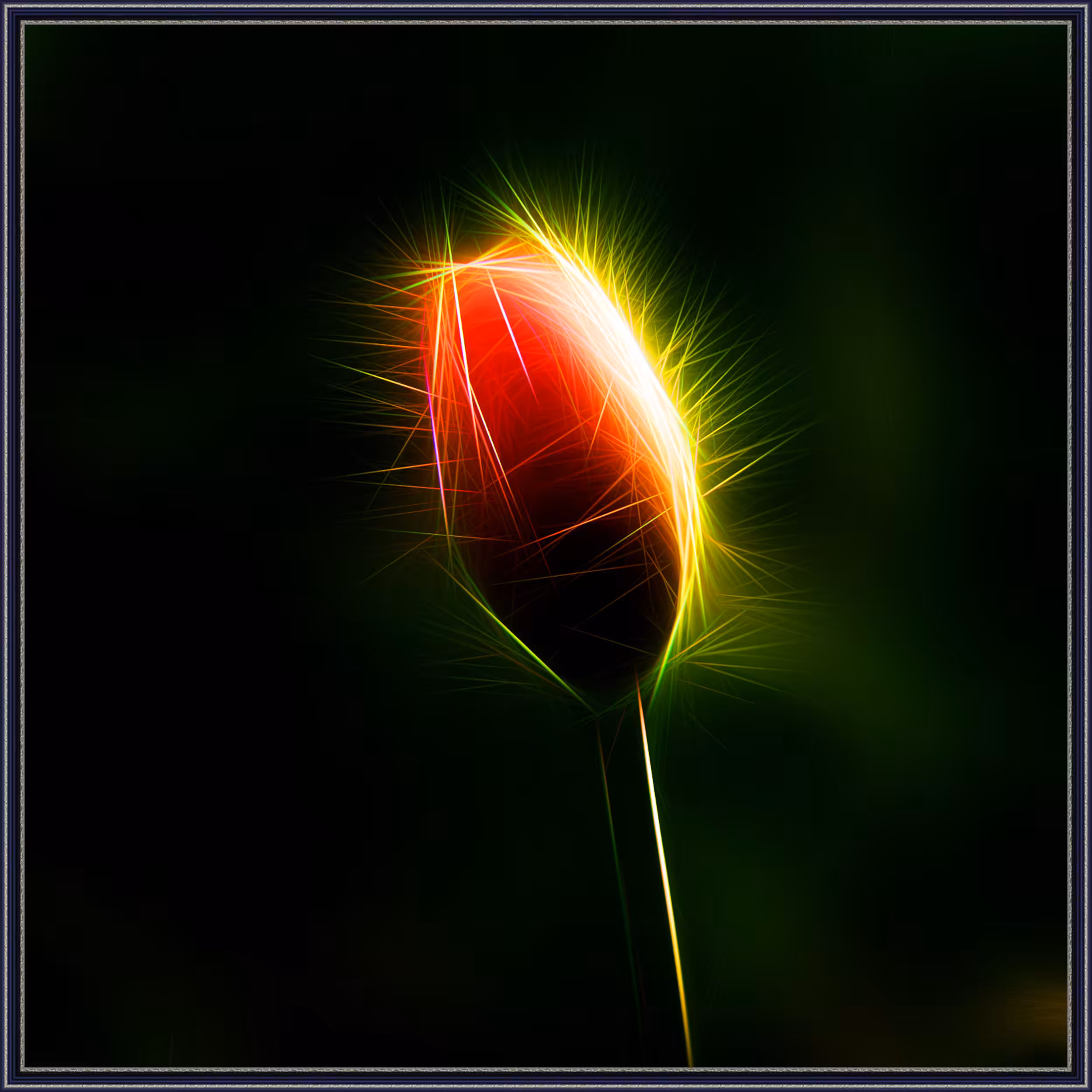 Tezoflower