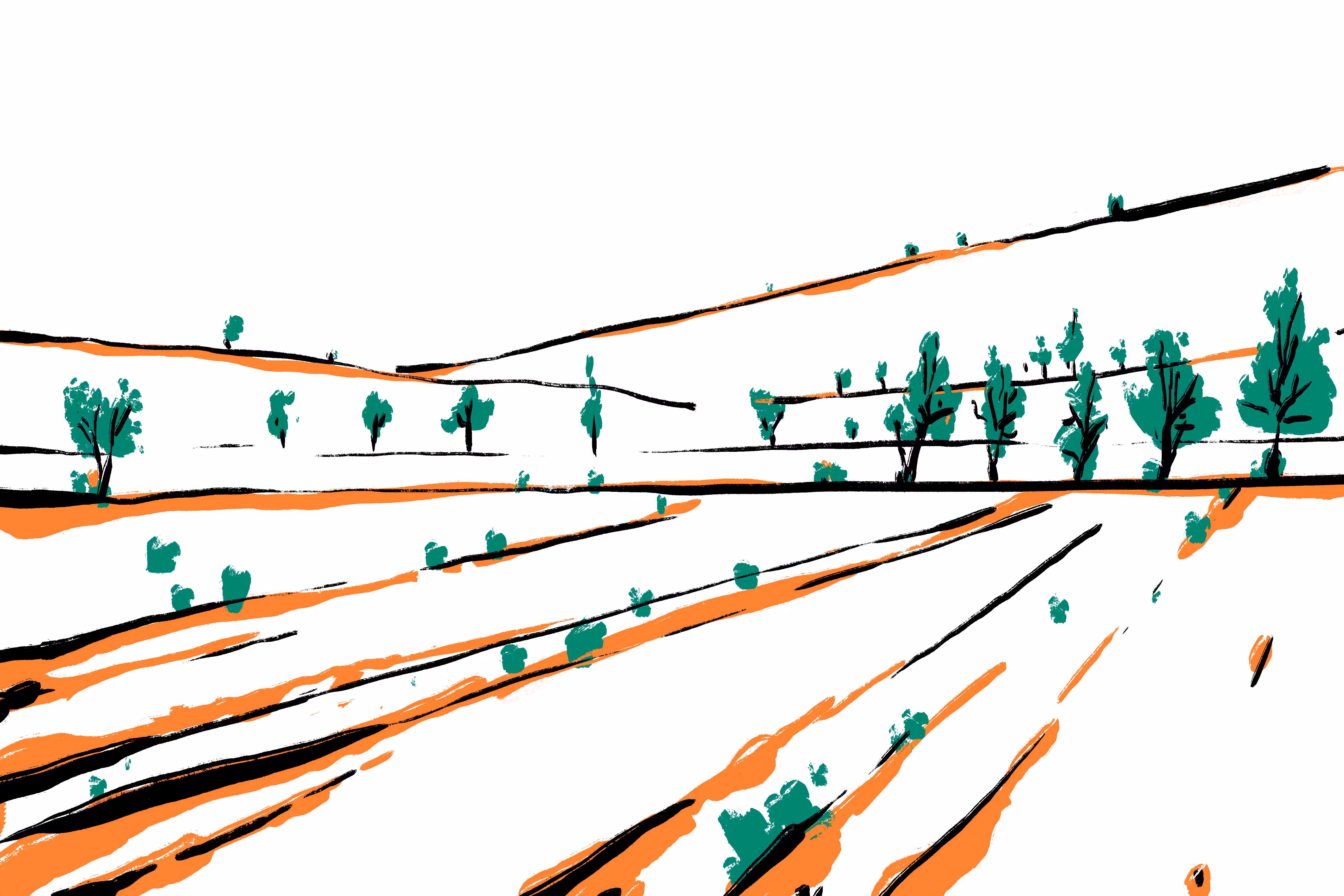 Summer-04