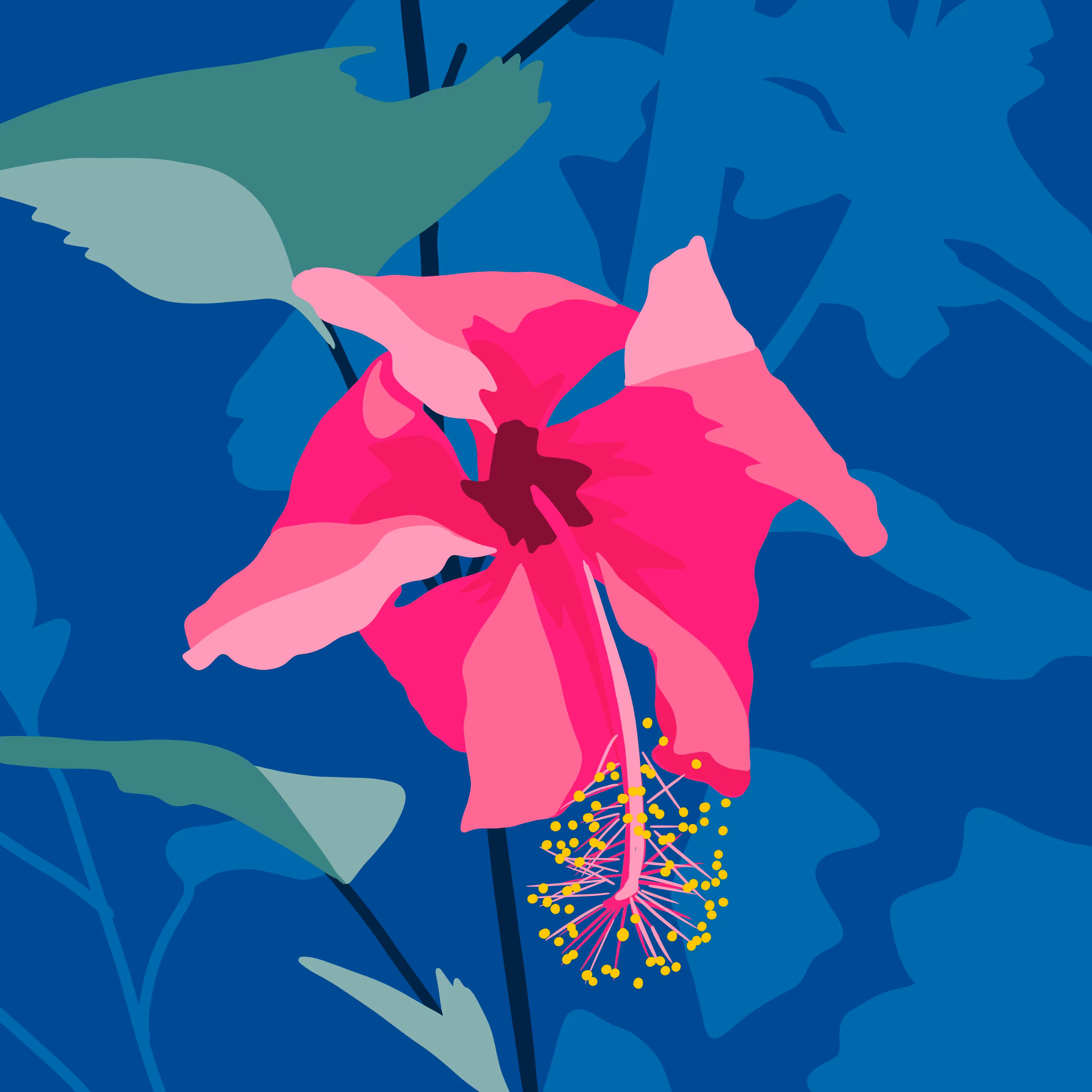 Hibiscus Flower